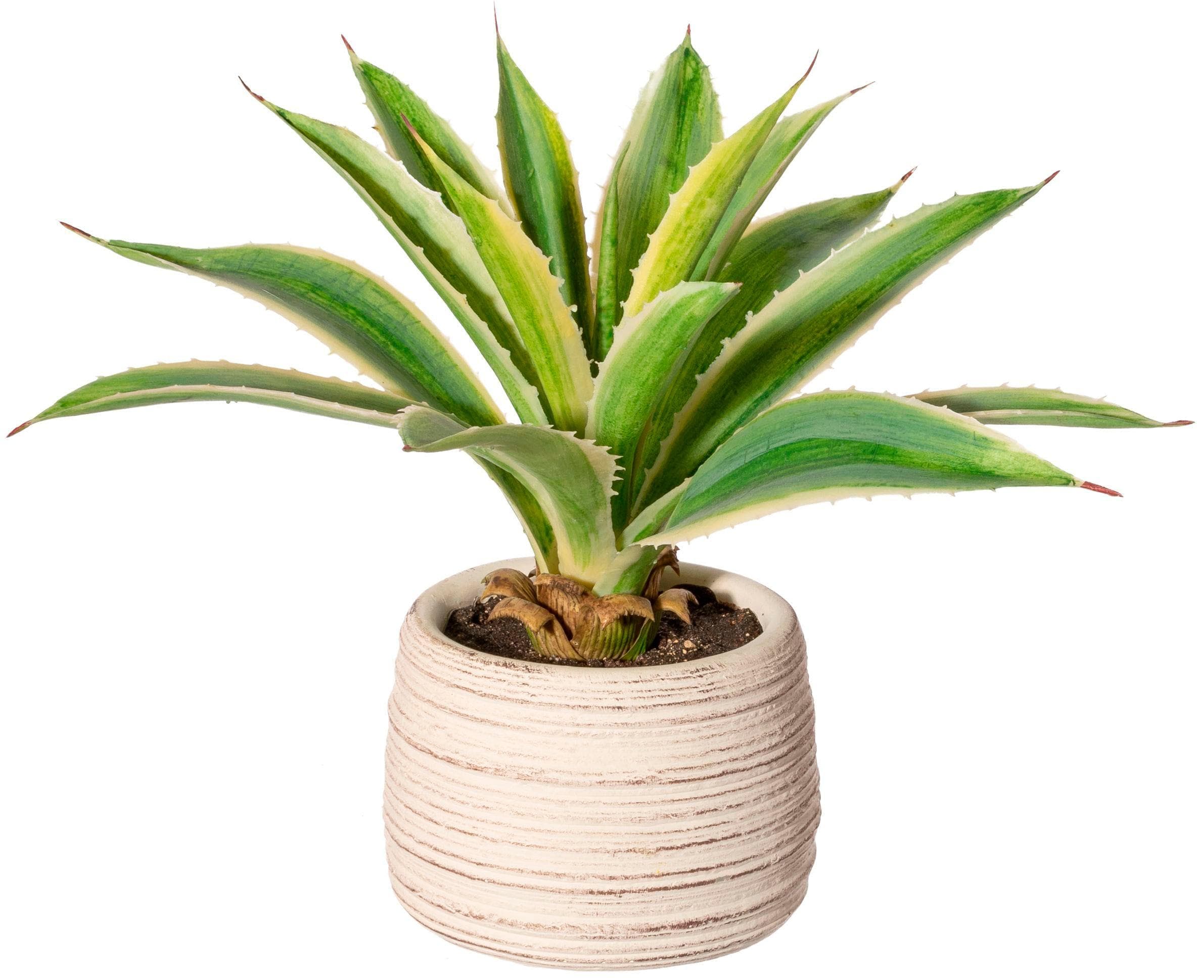 Creativ Green Künstliche Agave im Zementtopf Grün