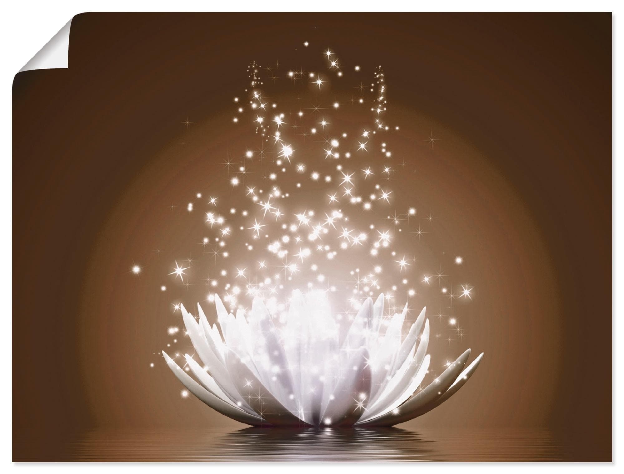 ARTLAND Wandbild Magie der Lotus-Blume Braun Leinwand Poster