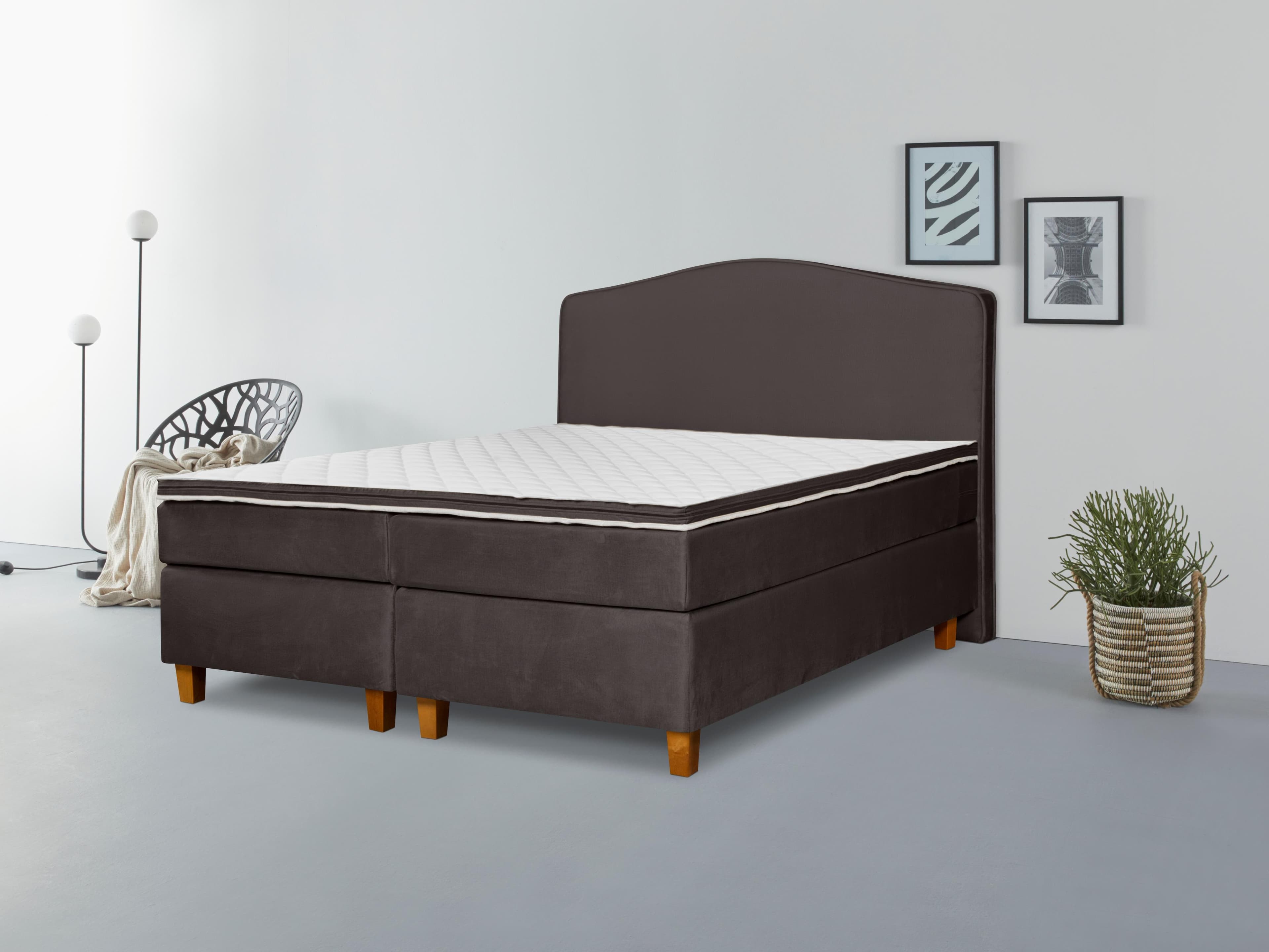 Boxspringbett INOSIGN Jalma Braun Taschen-Federkernmatratze
