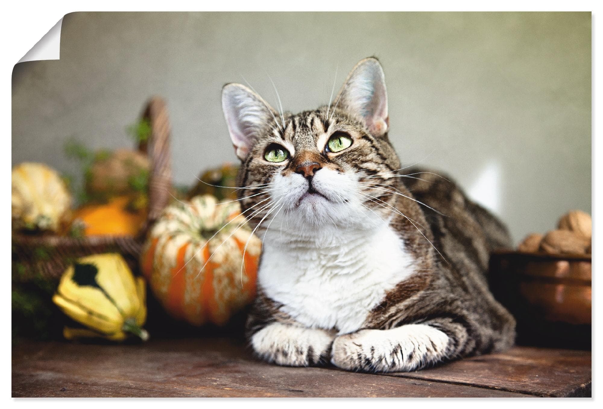 ARTLAND Poster Katze und Herbstdeko Beige