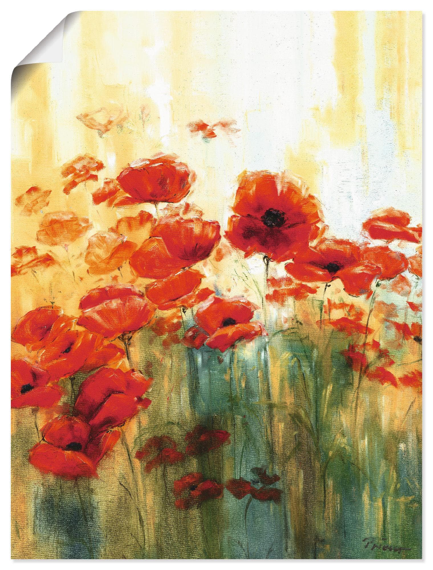 Artland Poster Mohnwiese Rot Blumen