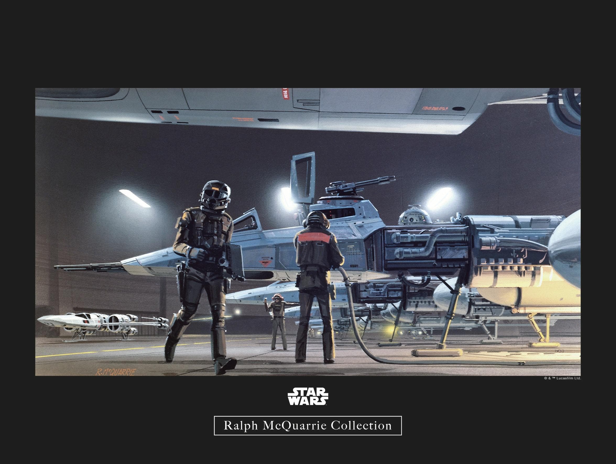 Komar Star Wars Y-Wing Wandbild Bunt
