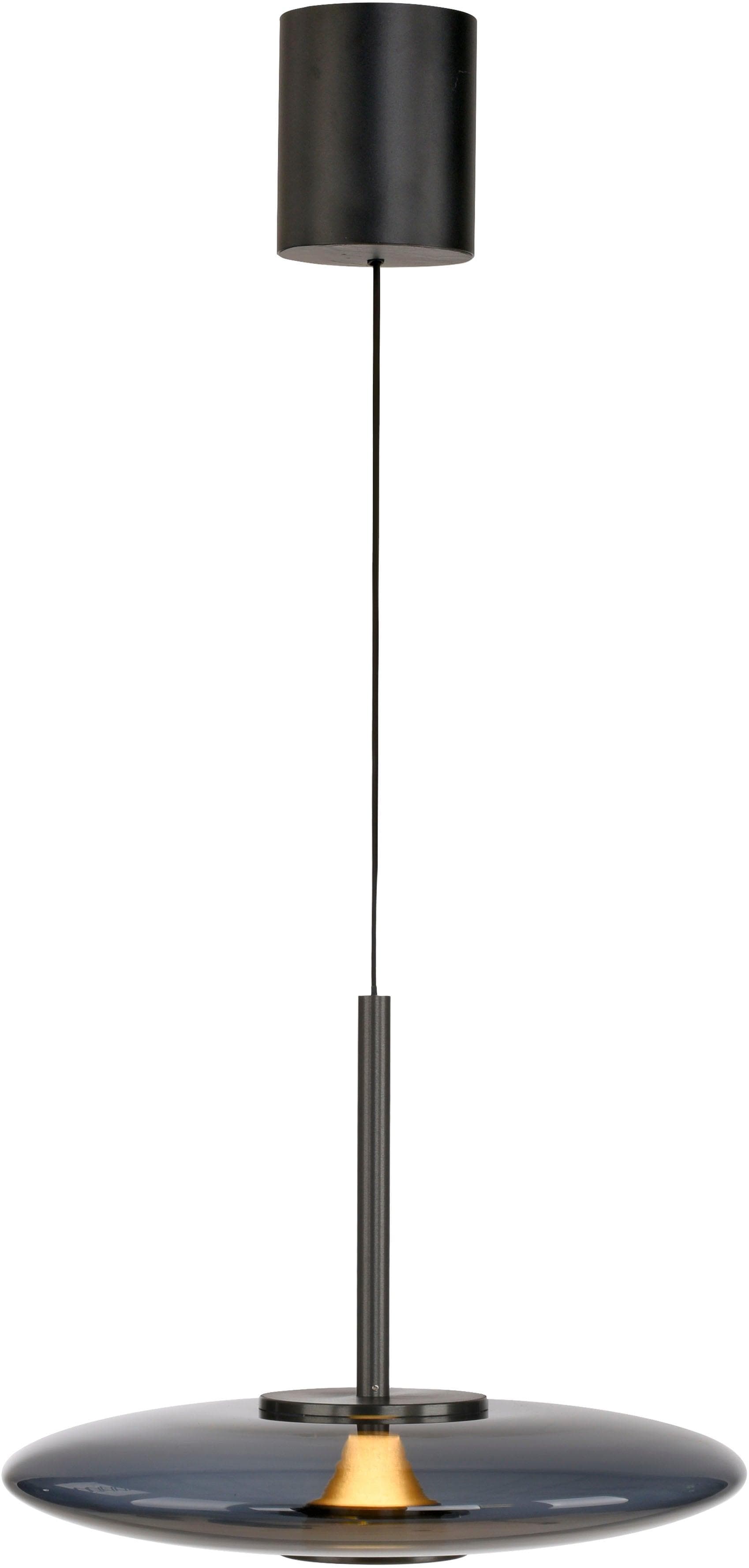 NEUHAUS PURE LED Pendelleuchte Platinfarben CCT Dimmbar Fernbedienung