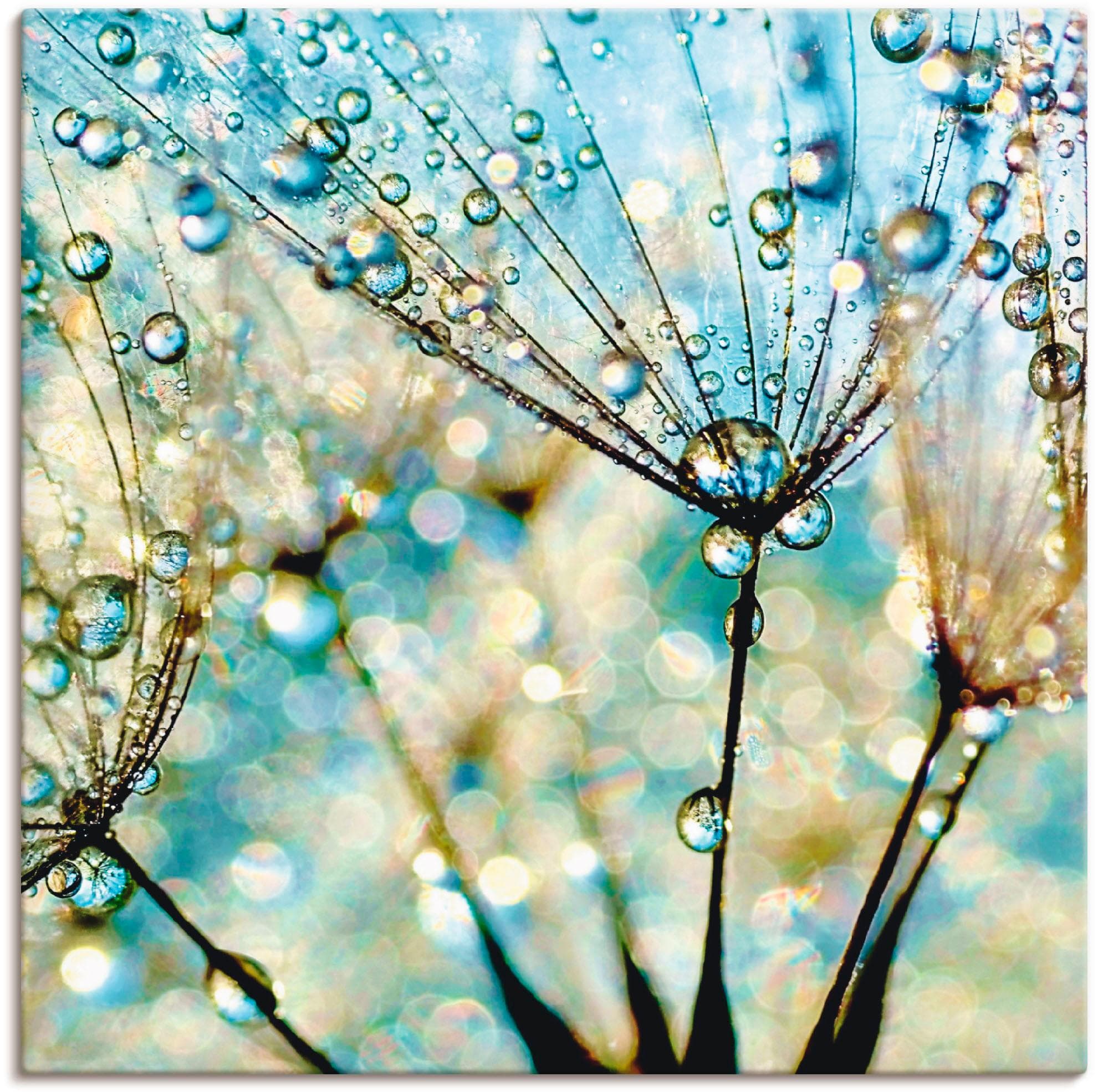 Artland Wandbild Pusteblume Blaue Diamanten Blau Leinwandbild