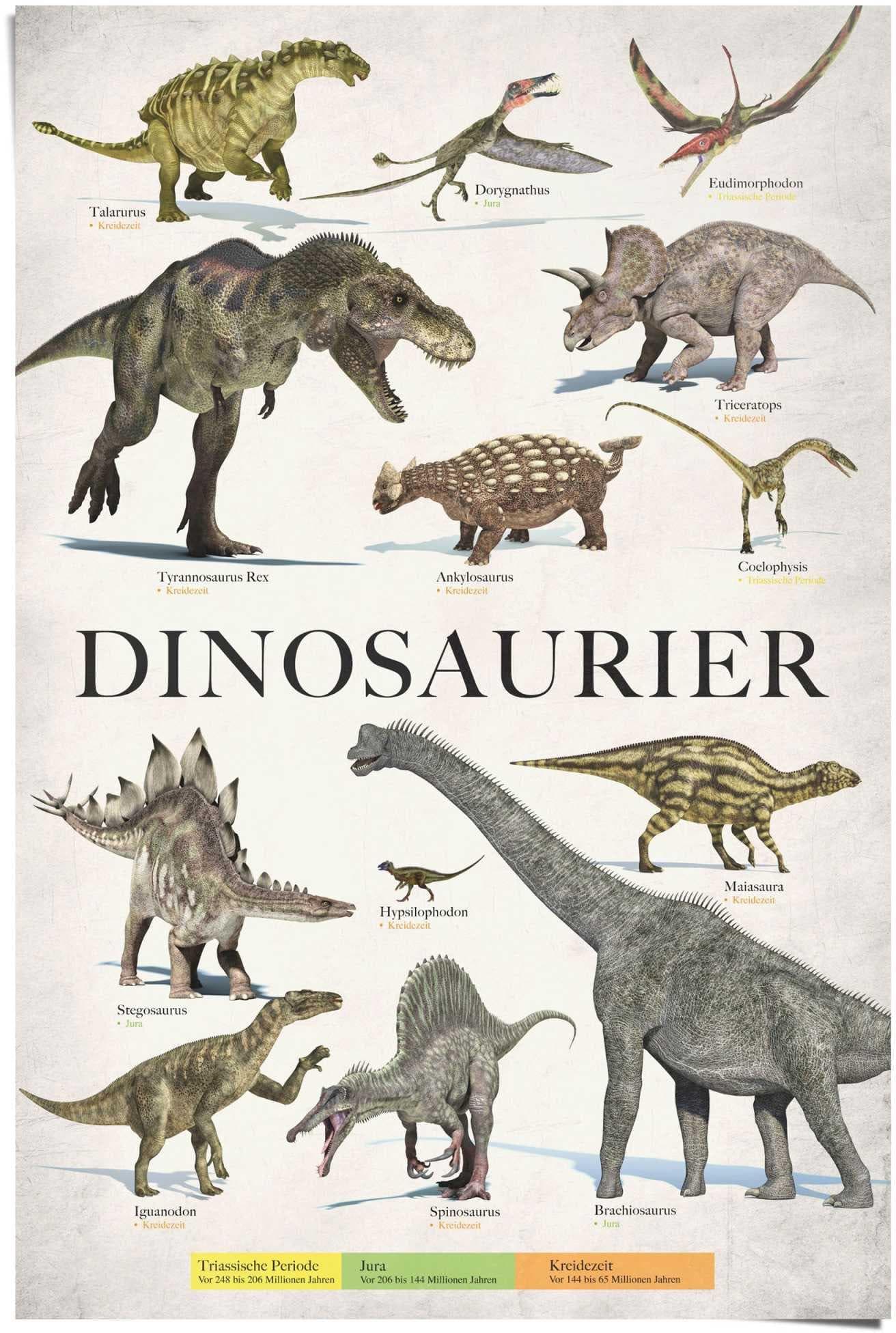 Reinders Poster Dinosaurier Grün Maxi Format