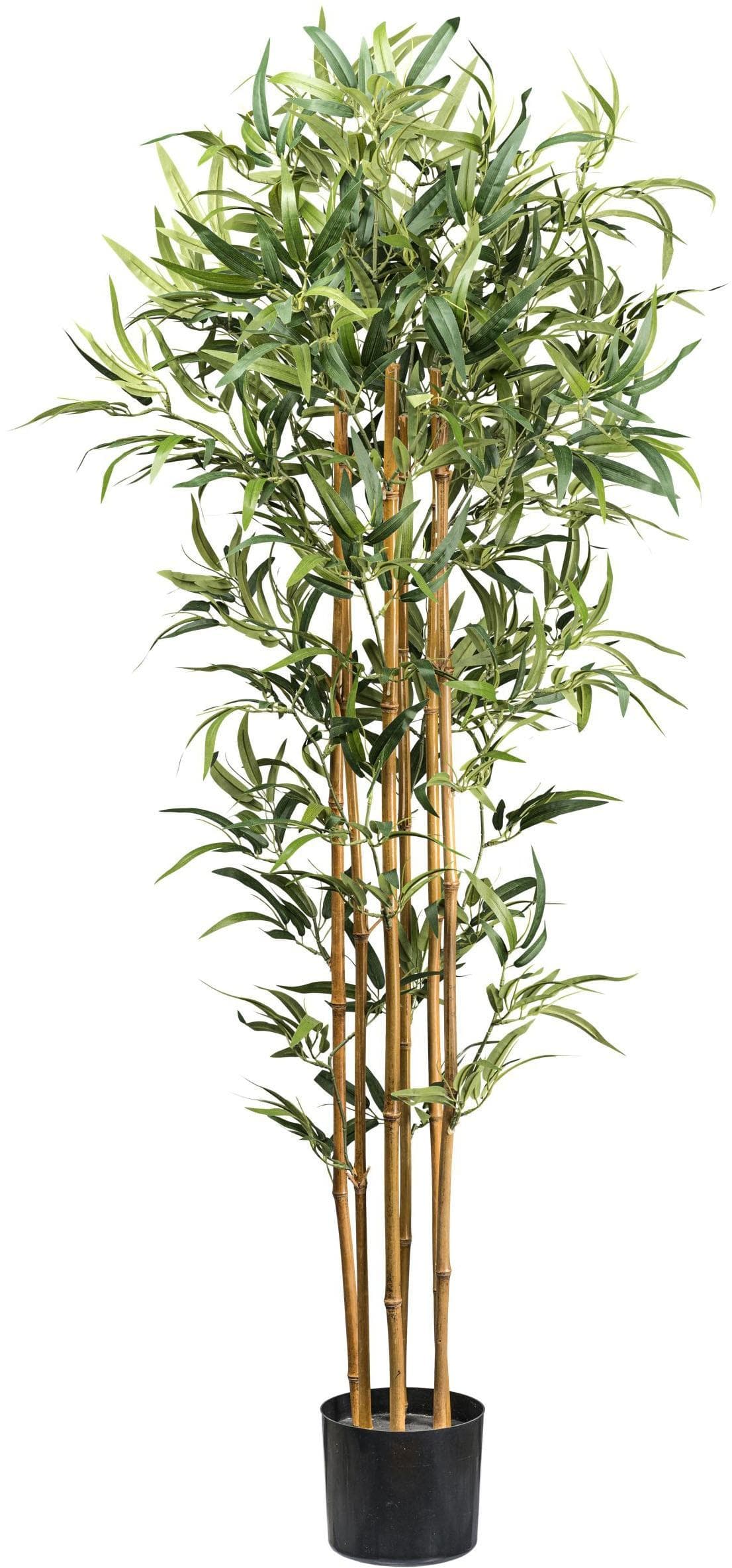 Creativ Green Bambus Kunstbaum Grün 155cm mit Echten Bambusstäben