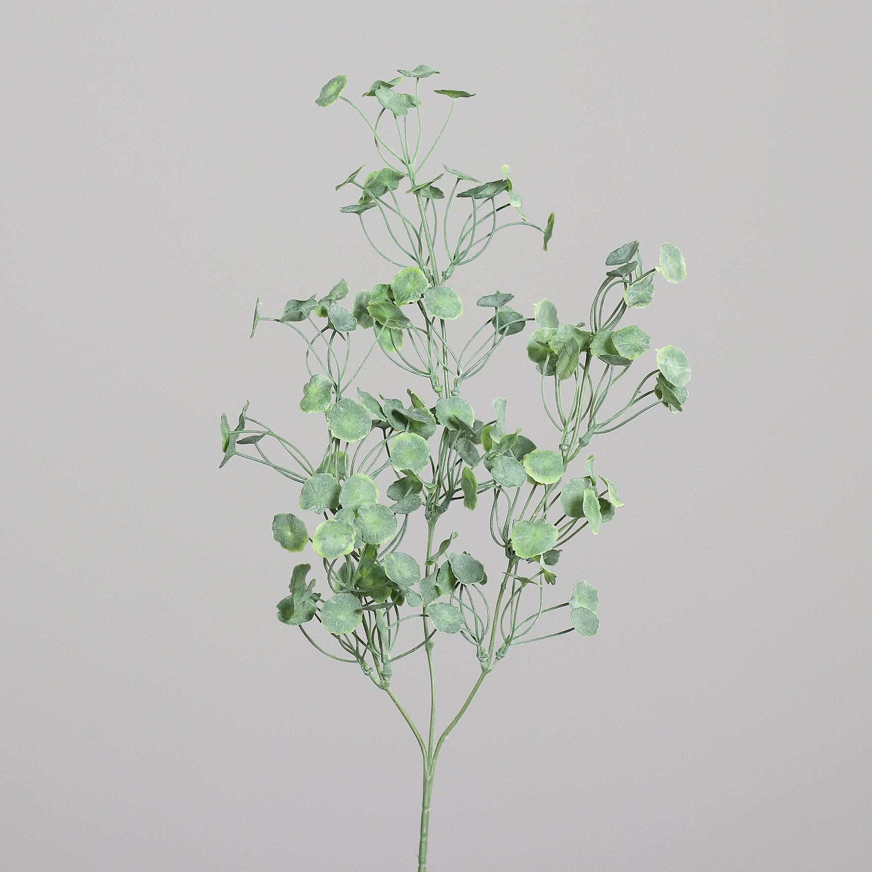 Kunstpflanze PFENNING-BLATT Grün Kunststoff Keramik