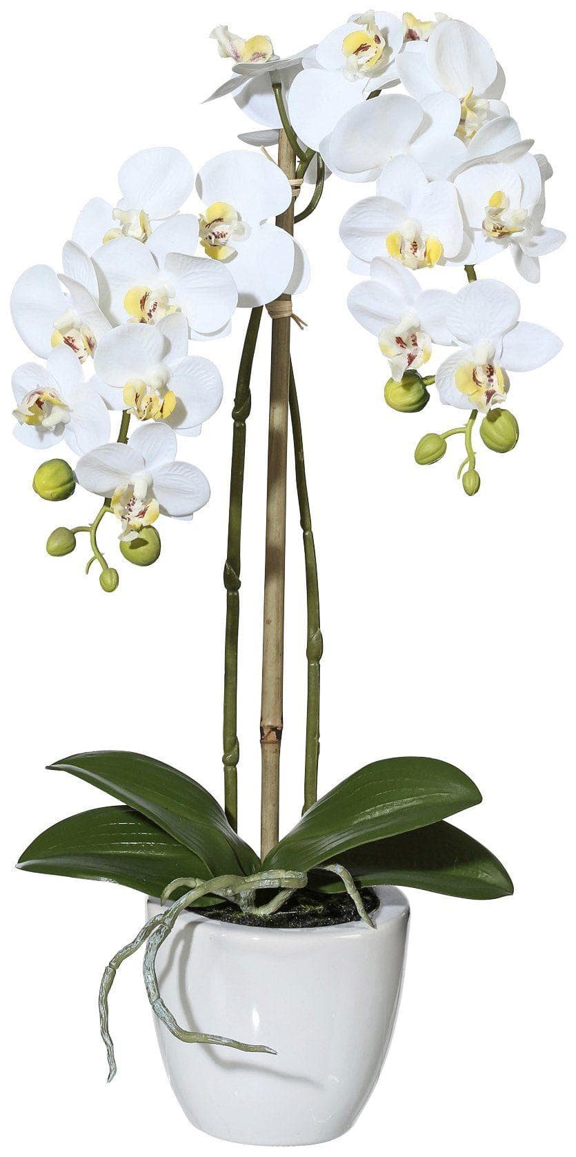 Creativ green Orchidee Phalaenopsis Kunstpflanze Weiß