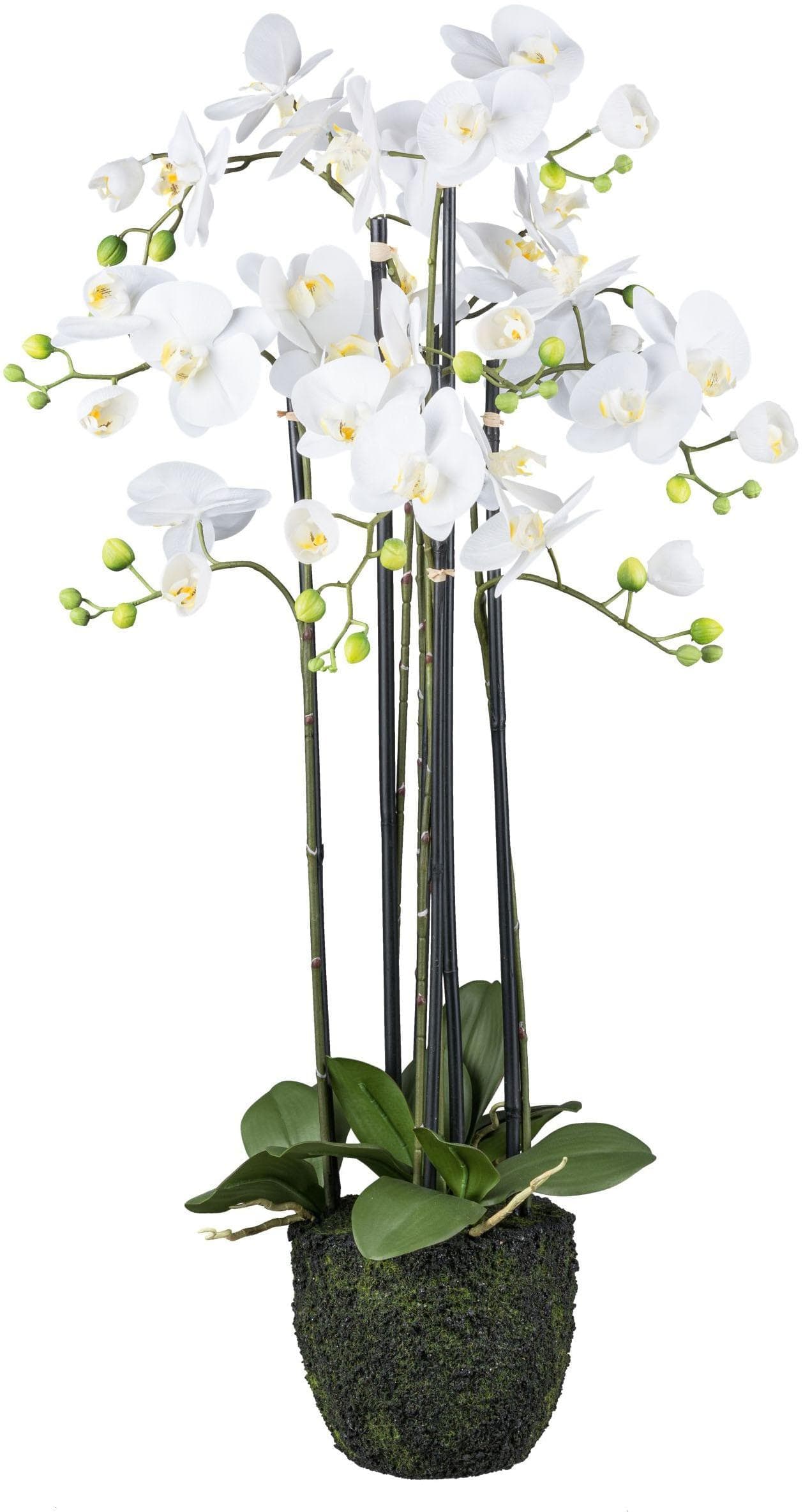 Creativ Green Kunstorchidee Phalaenopsis Weiß Real Touch