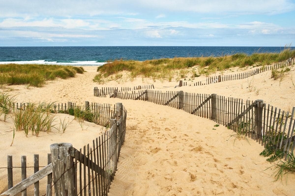Fototapete PAPERMOON Cape Cod Dünen Vlies bunt 500x280cm
