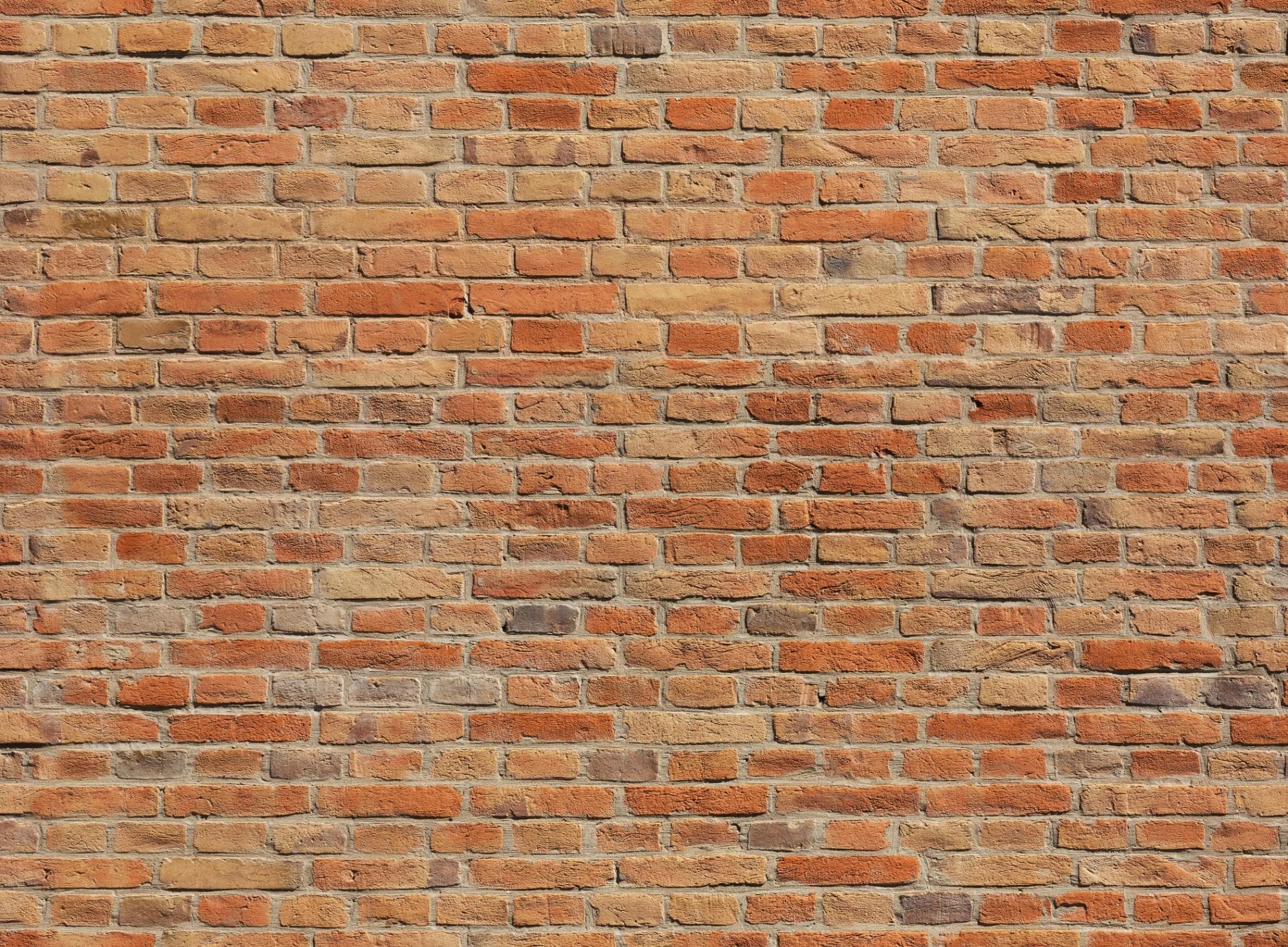 PAPERMOON Fototapete Brickwall bunt Vlies 4x2,6m