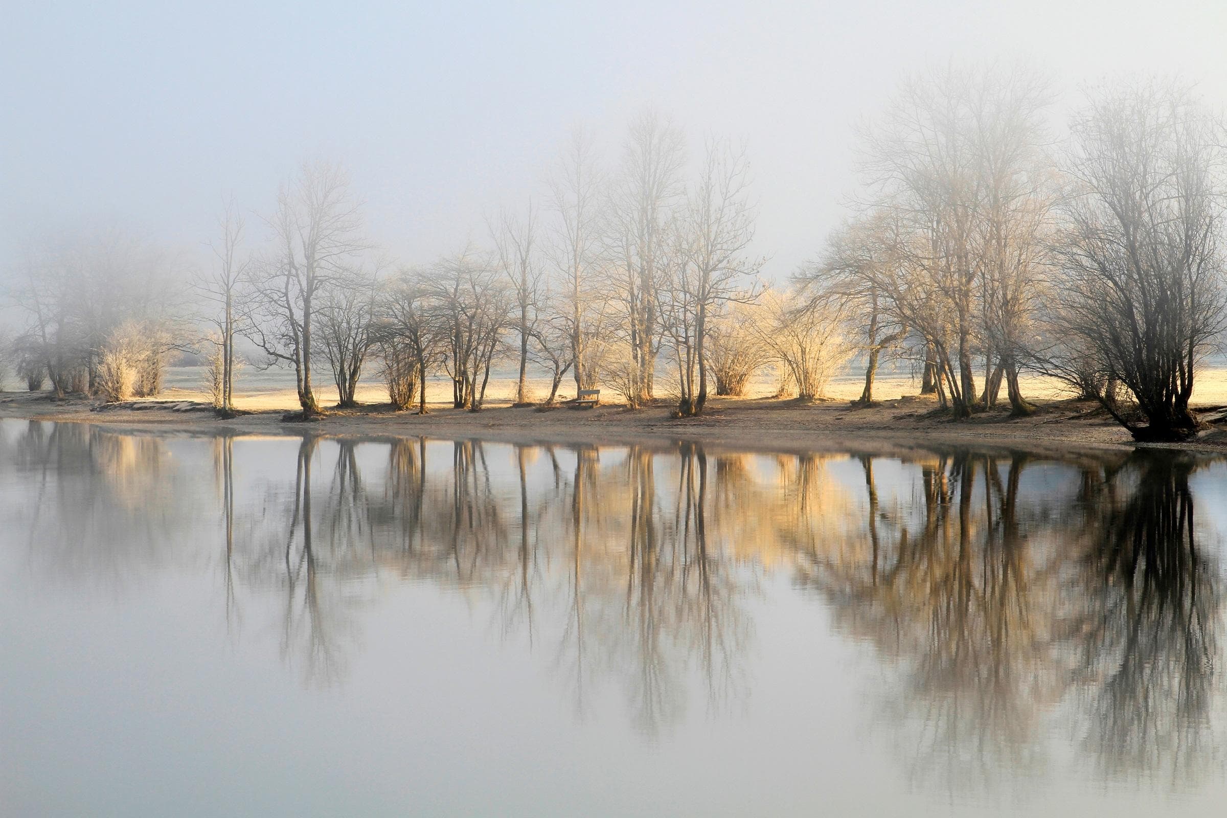 Fototapete PAPERMOON Photo-Art BOR JANUAR MORGEN Grau Vlies 4,5m x 2,8m