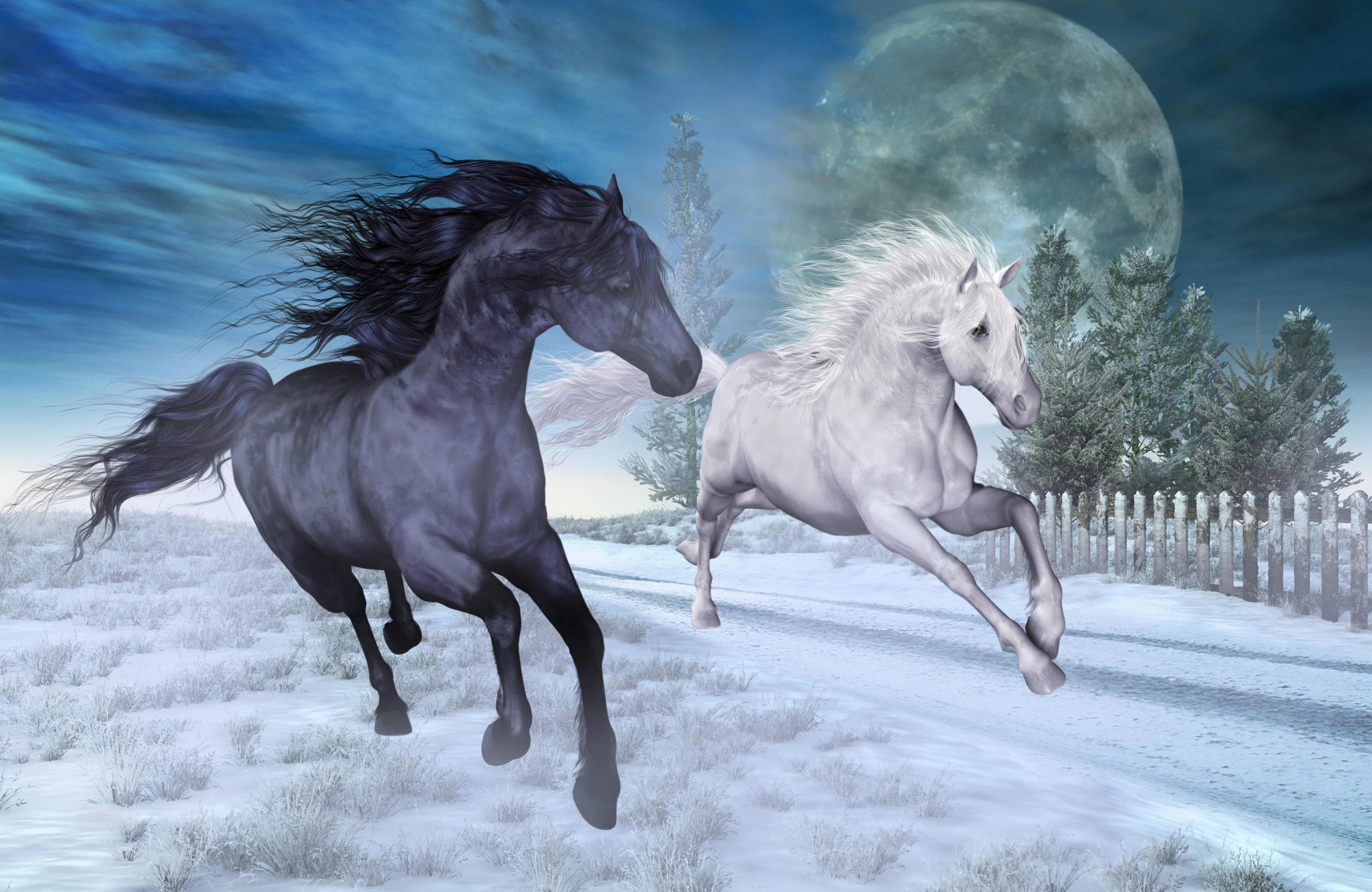 Fototapete PAPERMOON PFERDE-NATUR MOND TIERE PONY BÄUME Wandbild Deko