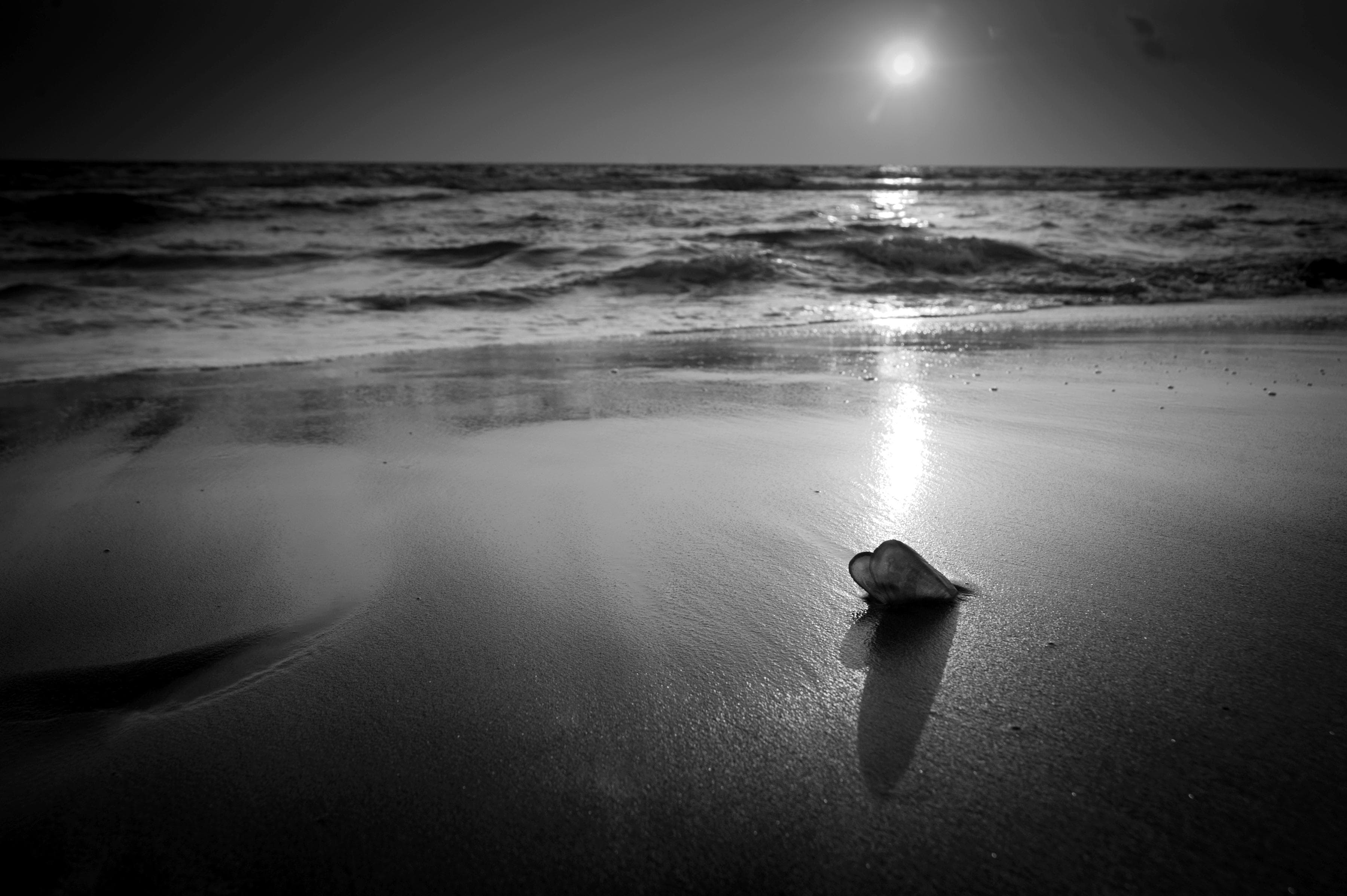 PAPERMOON Fototapete Strand Schwarz-Weiß Vlies