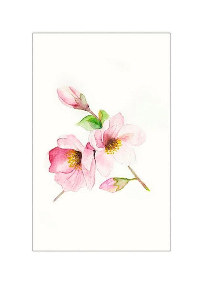 Komar Poster Magnolia Breathe - Rosa Aquarell Wandbild 30x40 cm