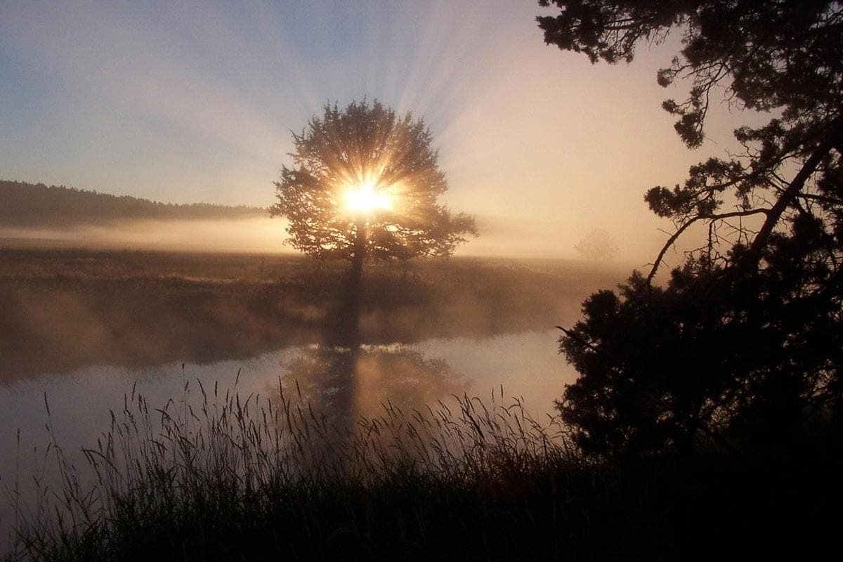 PAPERMOON Fototapete Fluss Sonnenaufgang Vlies Bunt