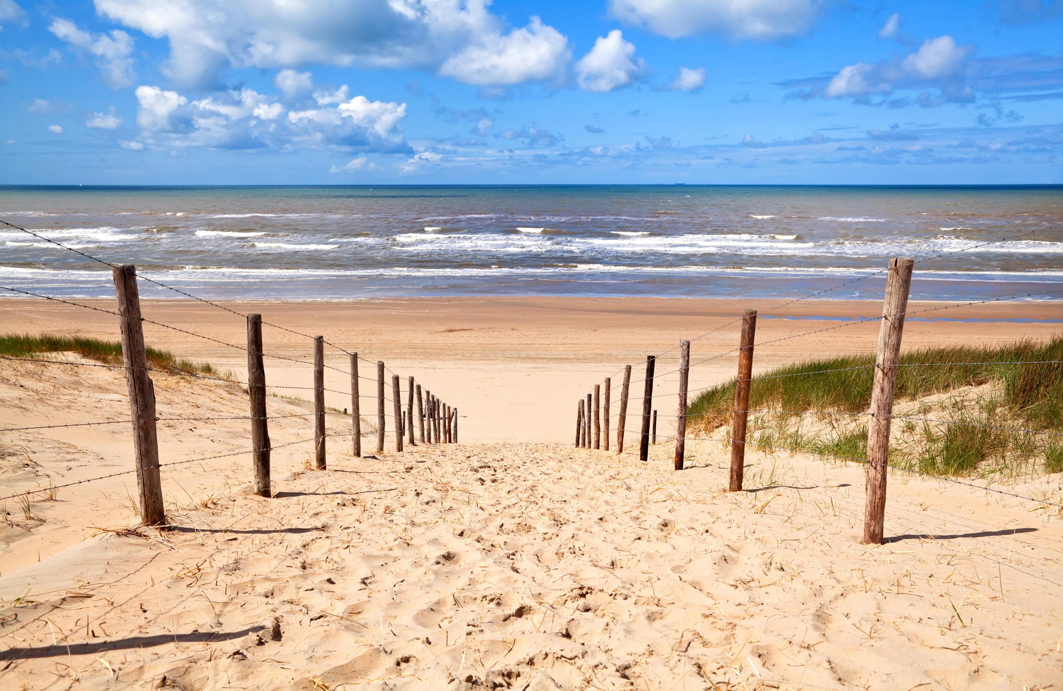 PAPERMOON Fototapete DÜNEN-NATUR Landschaft Strand Meer Vlies bunt