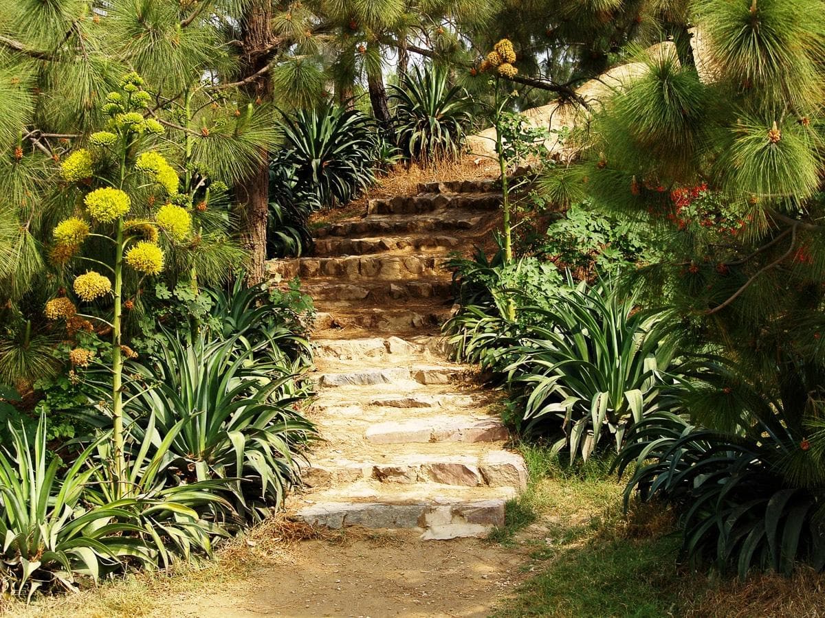 Fototapete PAPERMOON Hill Garden Vliestapete Landschaft