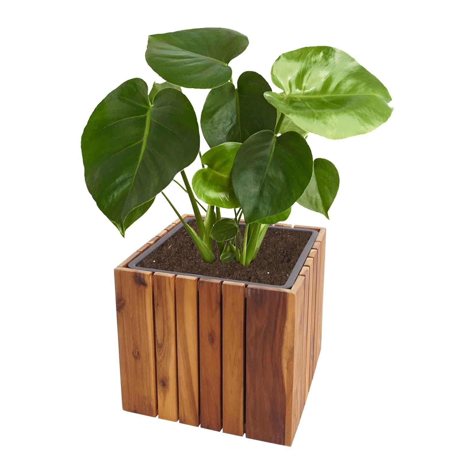 MCW Pflanzkasten Eckig 32cm Akazienholz Braun Outdoor