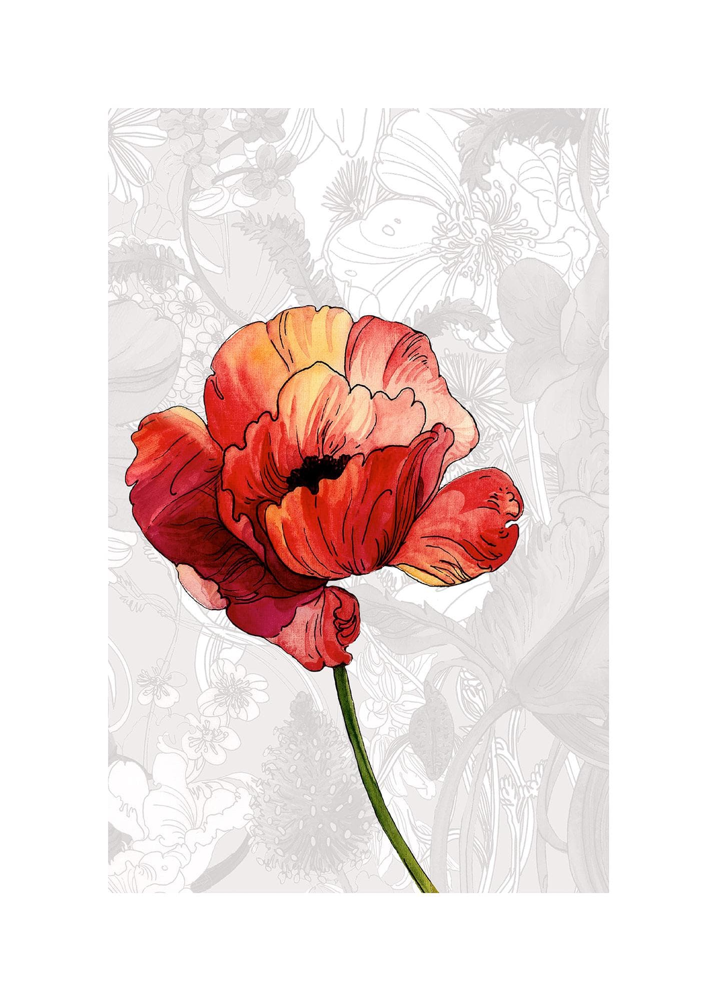 Bild KOMAR Amora bunt Wandbild Mohnblume 50x70 cm