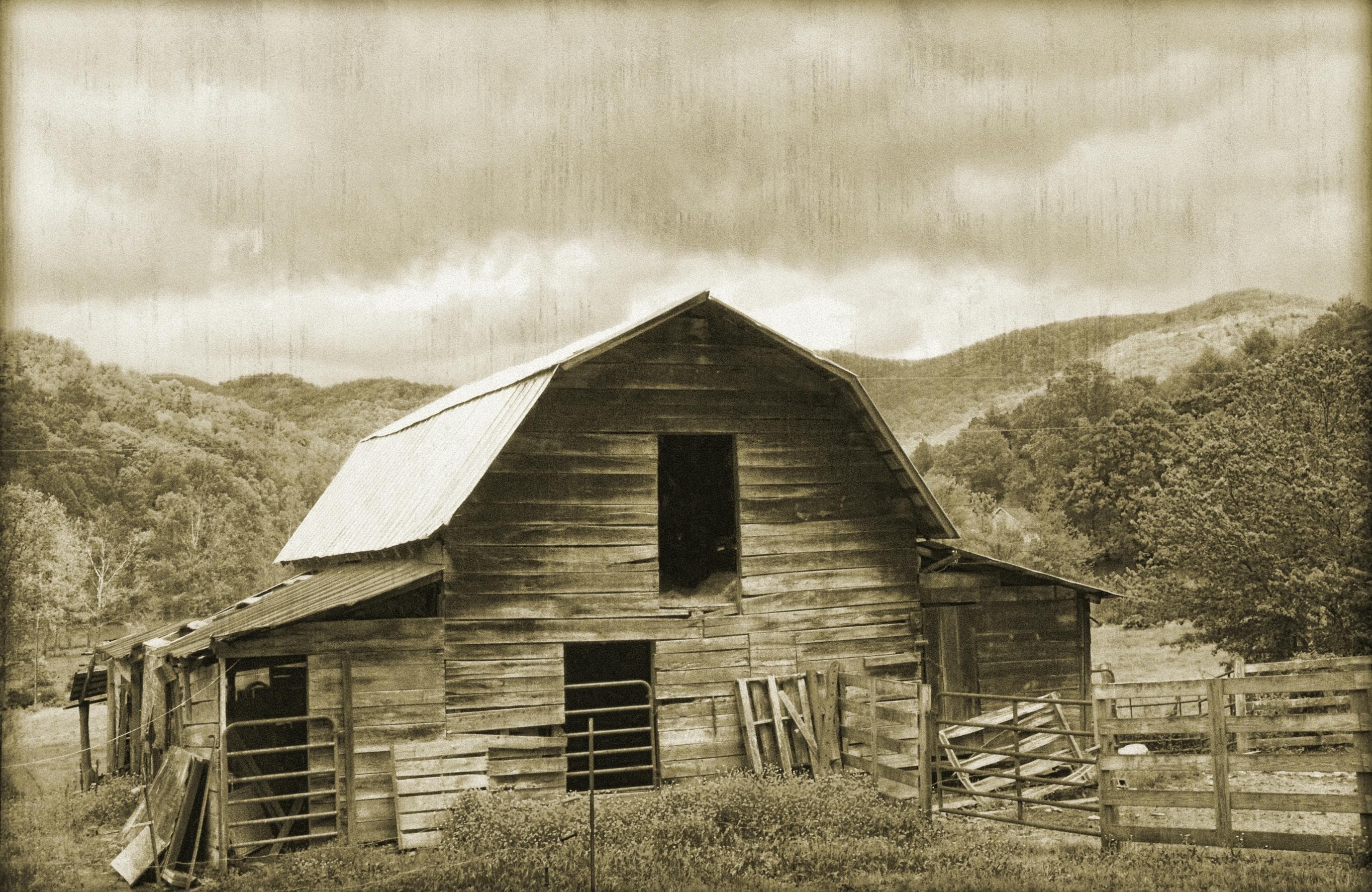 PAPERMOON Fototapete Vintage Natur Landschaft Schwarz Weiss Bäume Vlies