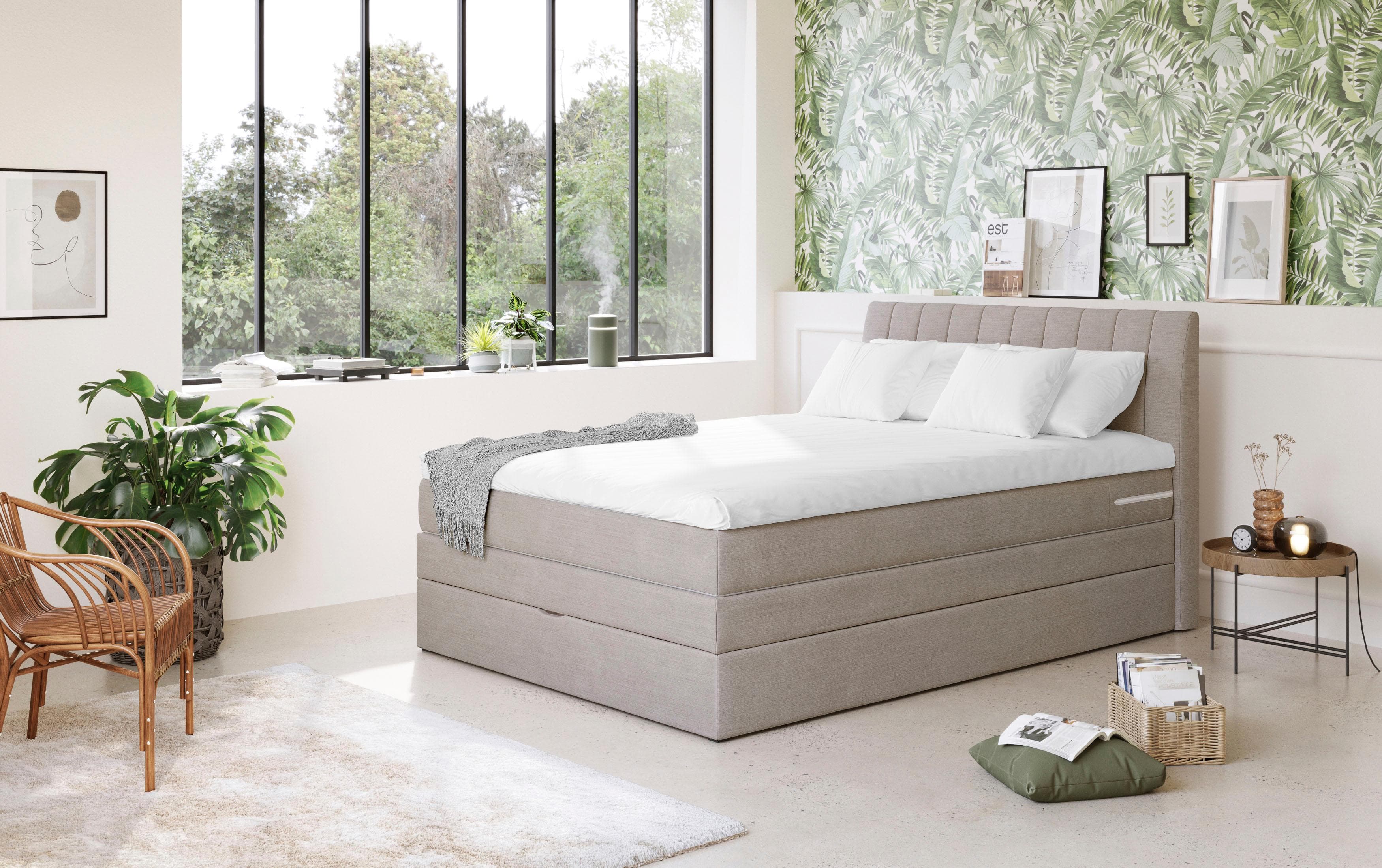 Boxspringbett COTTA Shark mit Bettkasten und Topper