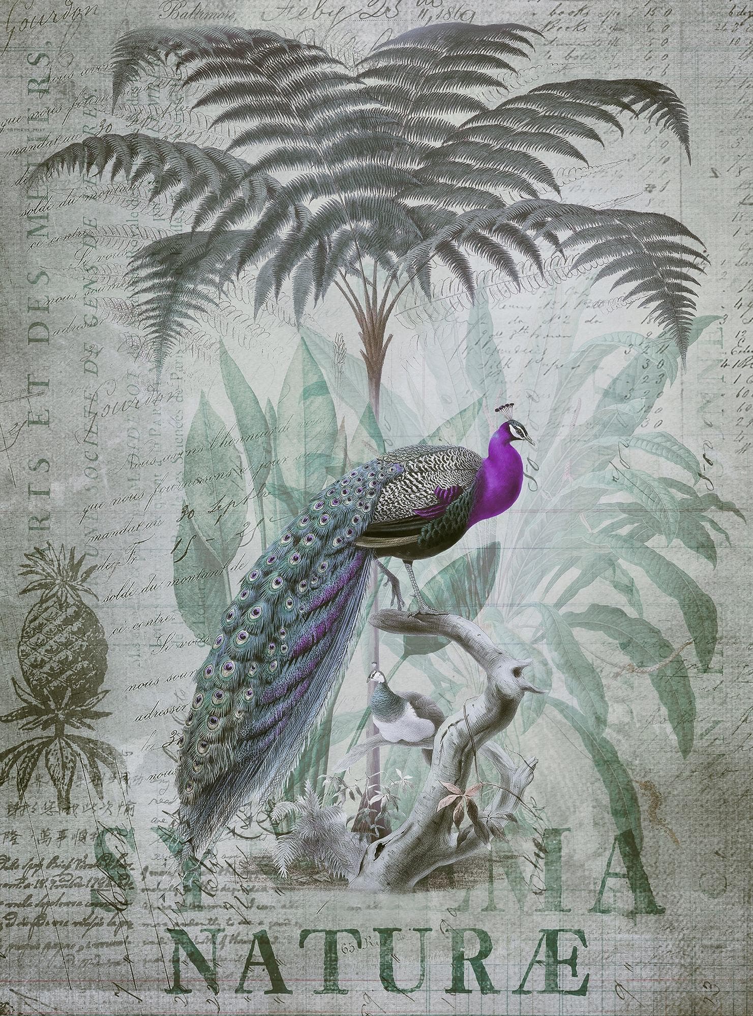 Livingwalls Fototapete ARTist Peacock Jungle Bunt Vlies