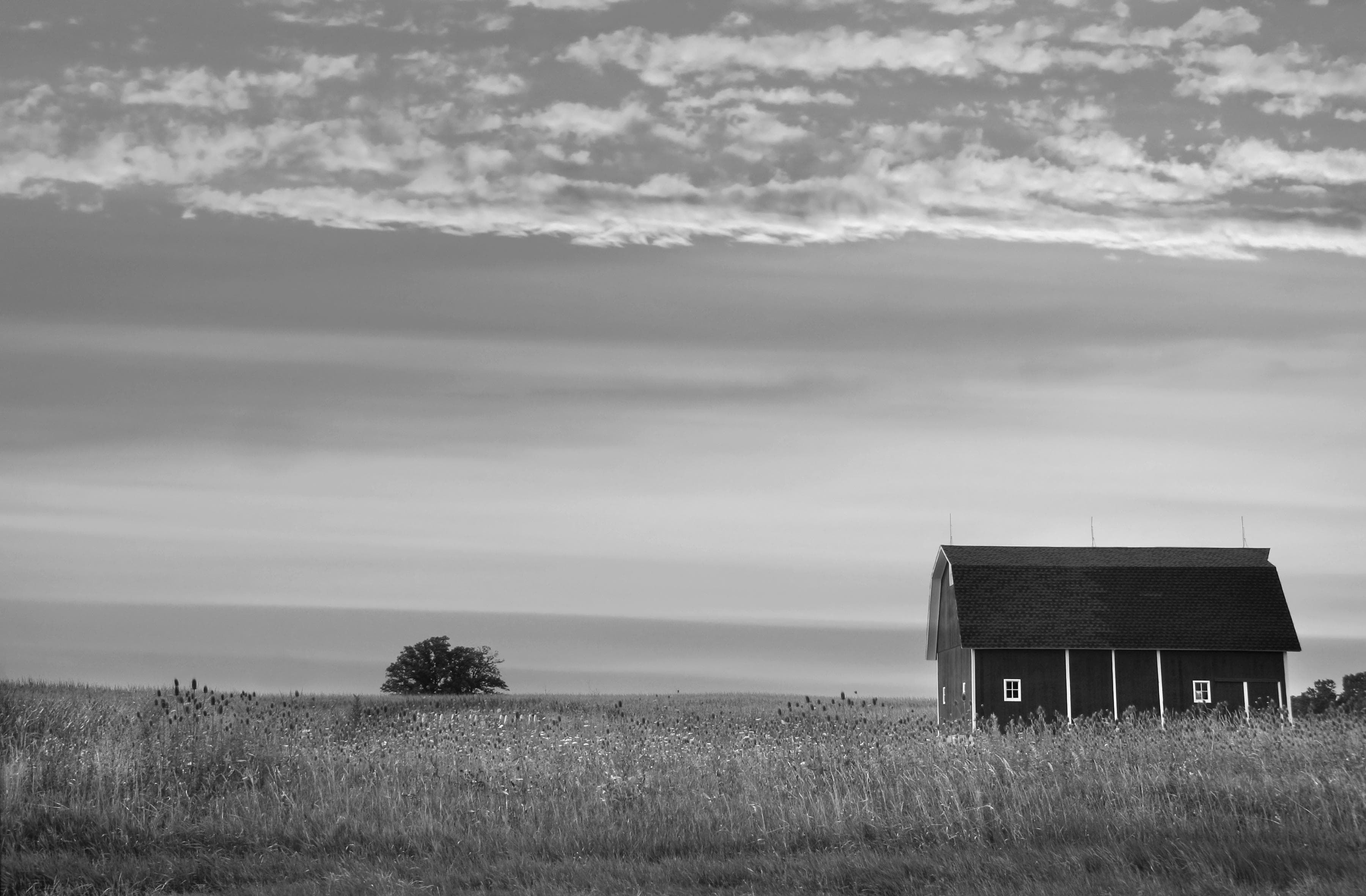 PAPERMOON Fototapete Farm Schwarz & Weiß Vlies