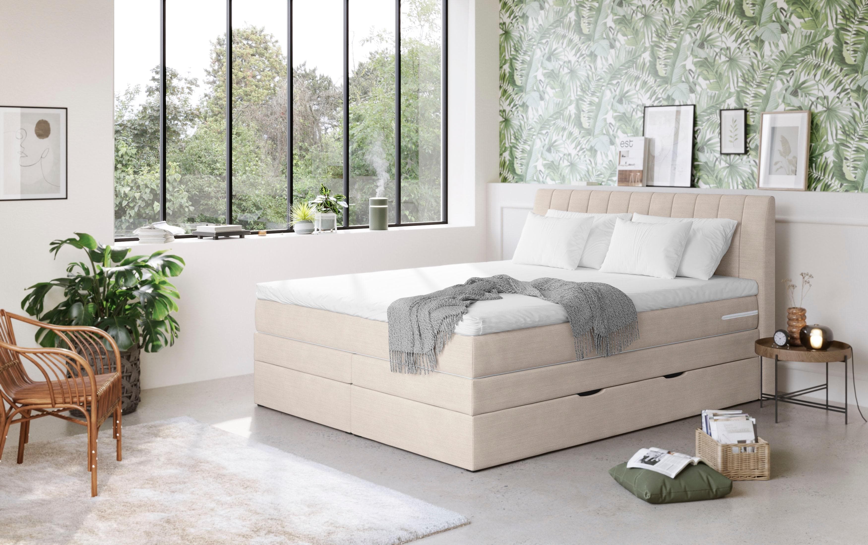 COTTA Boxspringbett Shark mit Bettkasten und Topper Beige