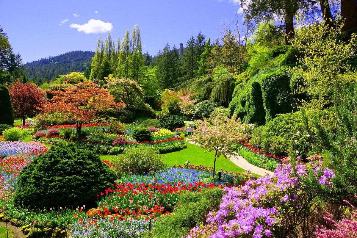 Fototapete PAPERMOON Butchart Gardens Vlies 350x260cm