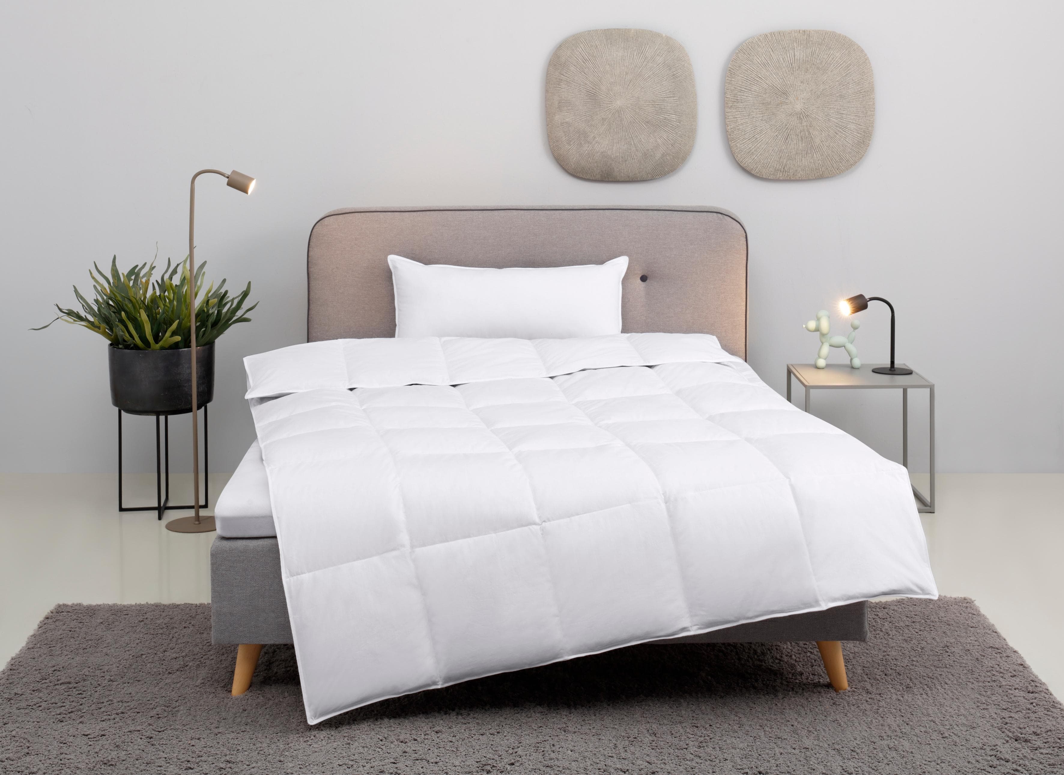 OTTO HOME Daunenbettdecke + Kopfkissen Cavanelle Weiß