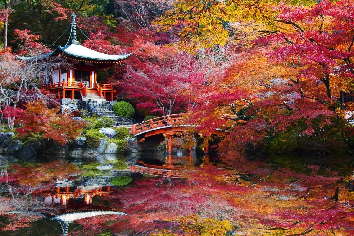 PAPERMOON Fototapete Japanischer Garten Vlies Bunt