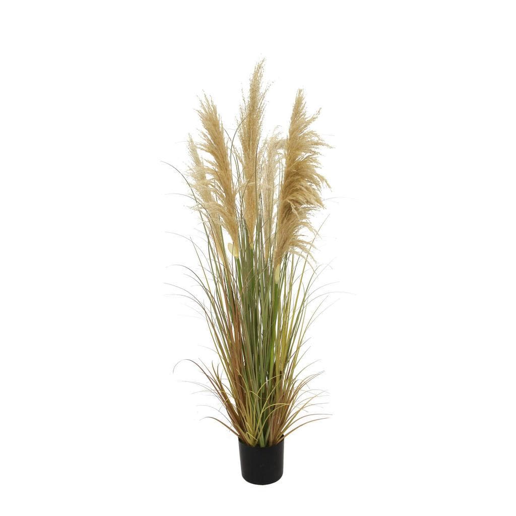 Ambia Home Dekogras Kunstblumen Braun 150 cm