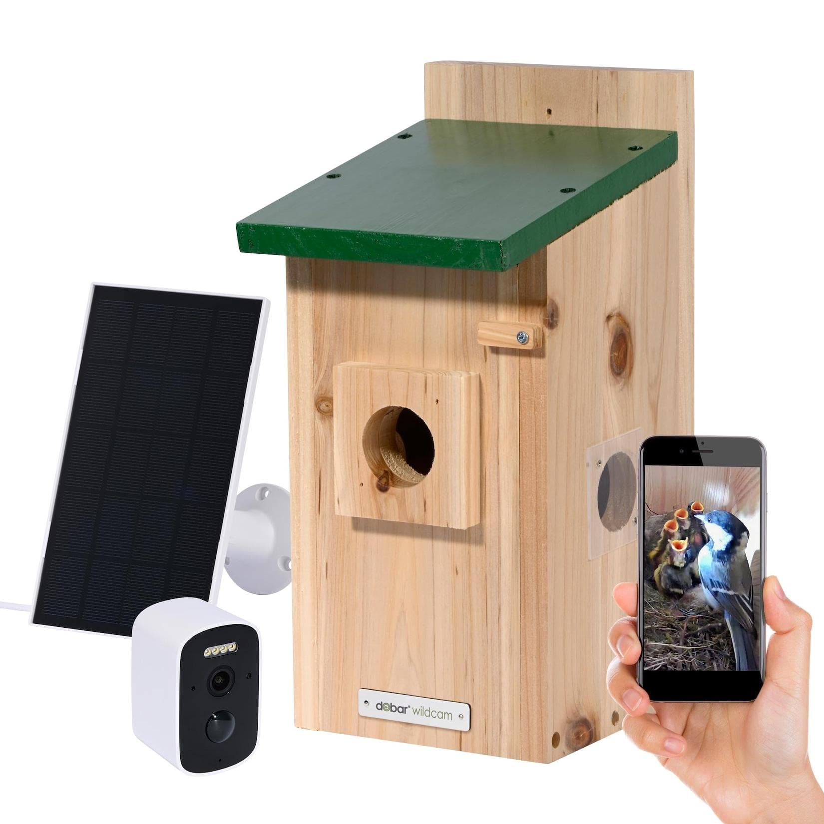 Dobar Vogelhaus Nistkasten Eazy Flachdach inkl. WiFi Kamera und Solar-Panel Grün