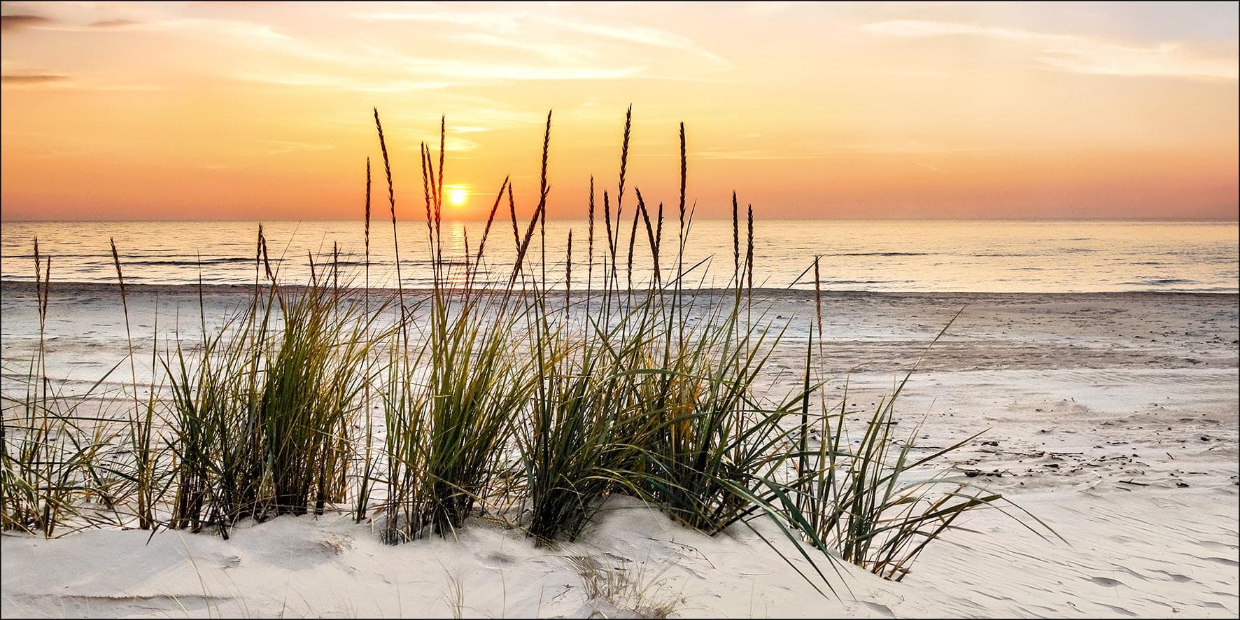 Keilrahmenbild LONELY DUNE - Kunstdruck auf Holzwerkstoff