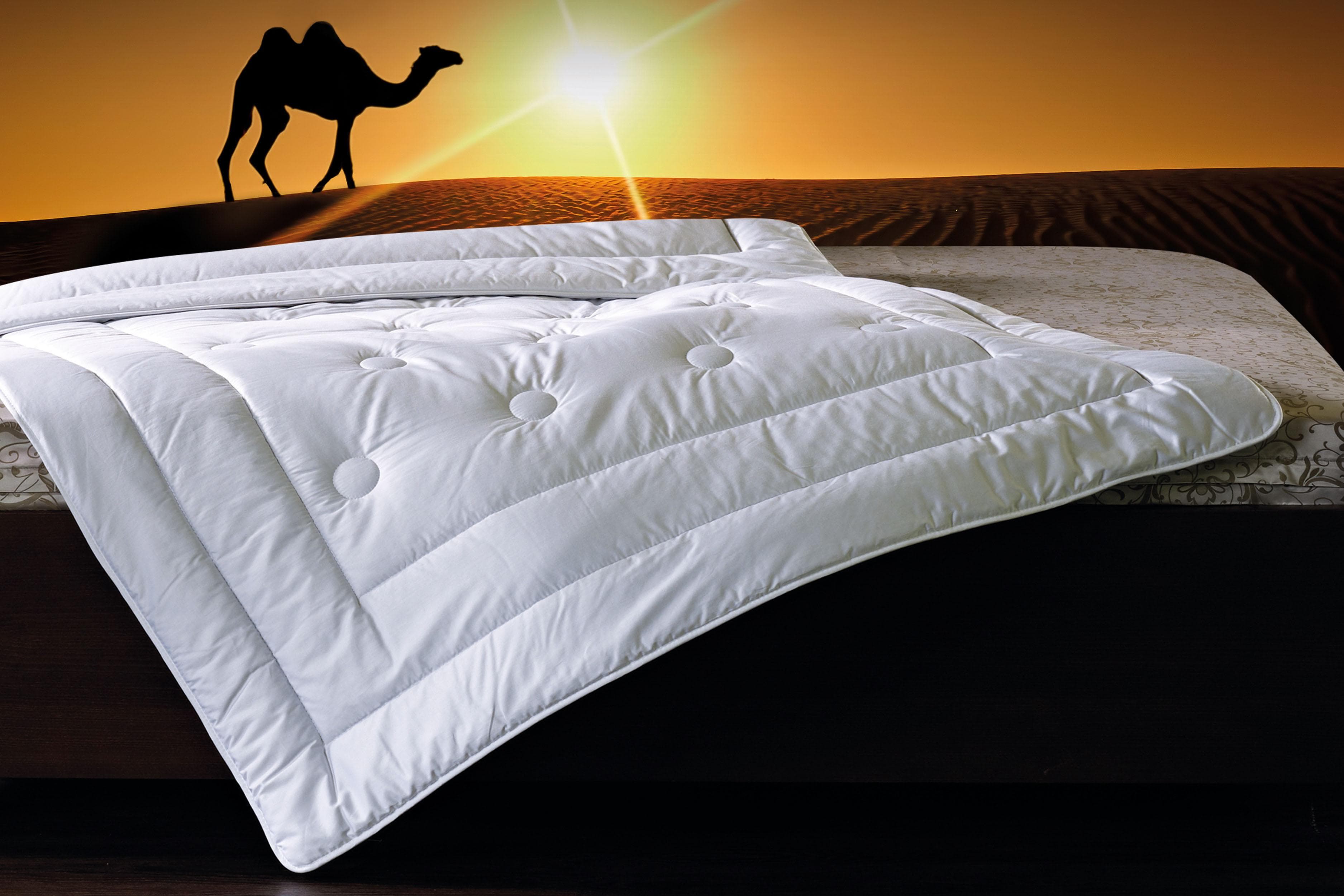 billerbeck Kamelhaar Bettdecke Natur Classic 342 Brilliant - Satin Baumwolle