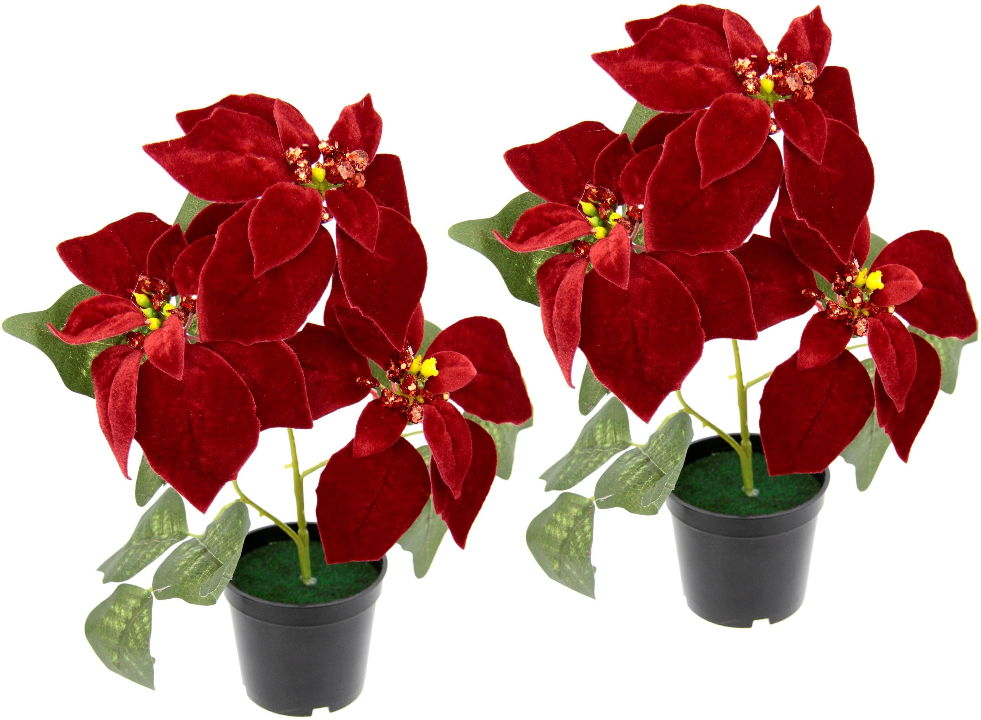 I.GE.A. Samt-Poinsettie Kunstpflanze Rot 2er Set im Topf