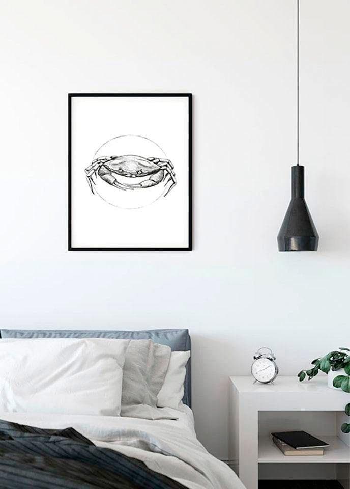 Bild KOMAR Crab White bunt Wandbild ohne Rahmen