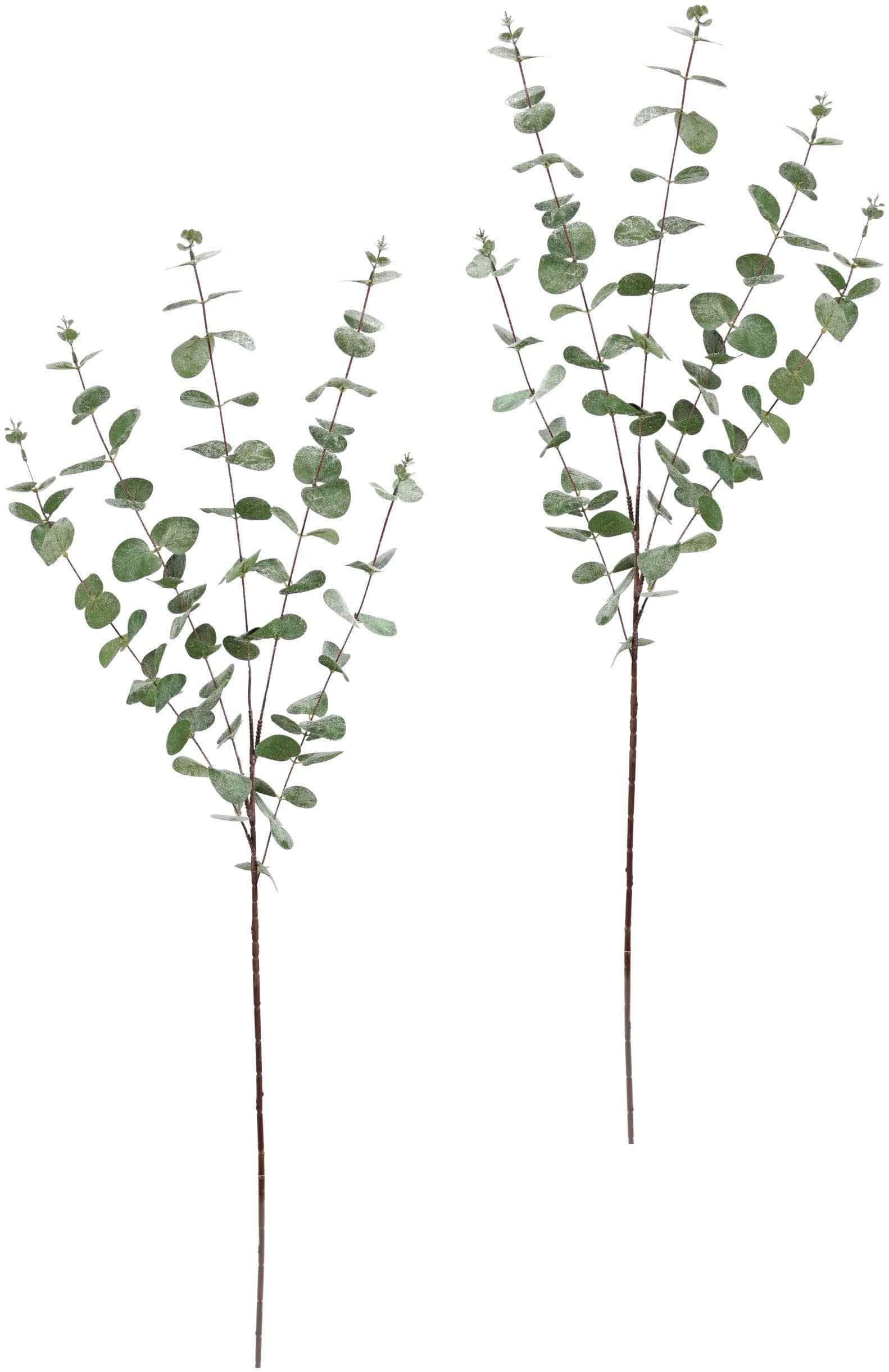 I.GE.A. Winterliche Kunstpflanze Eukalyptuszweig 105 cm Kunstblume im 2er Set