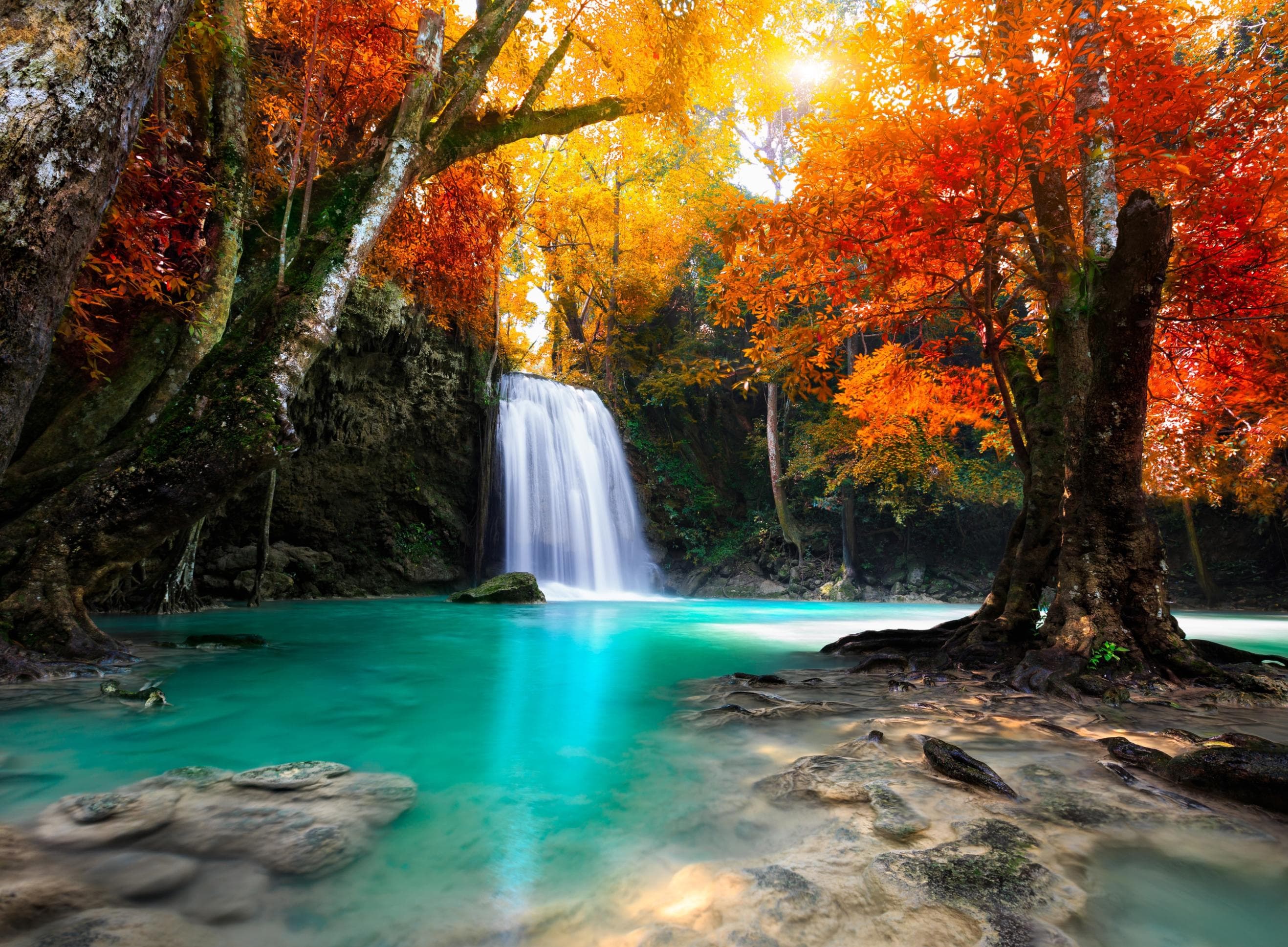 PAPERMOON Fototapete Deep Forest Waterfall Vlies Bunt