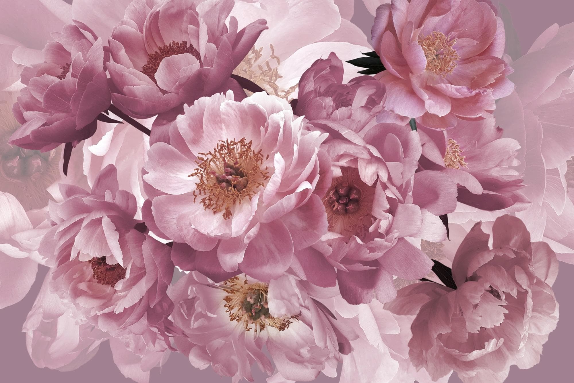 PAPERMOON Vliestapete Blumen Abstrakt Retro Bunt