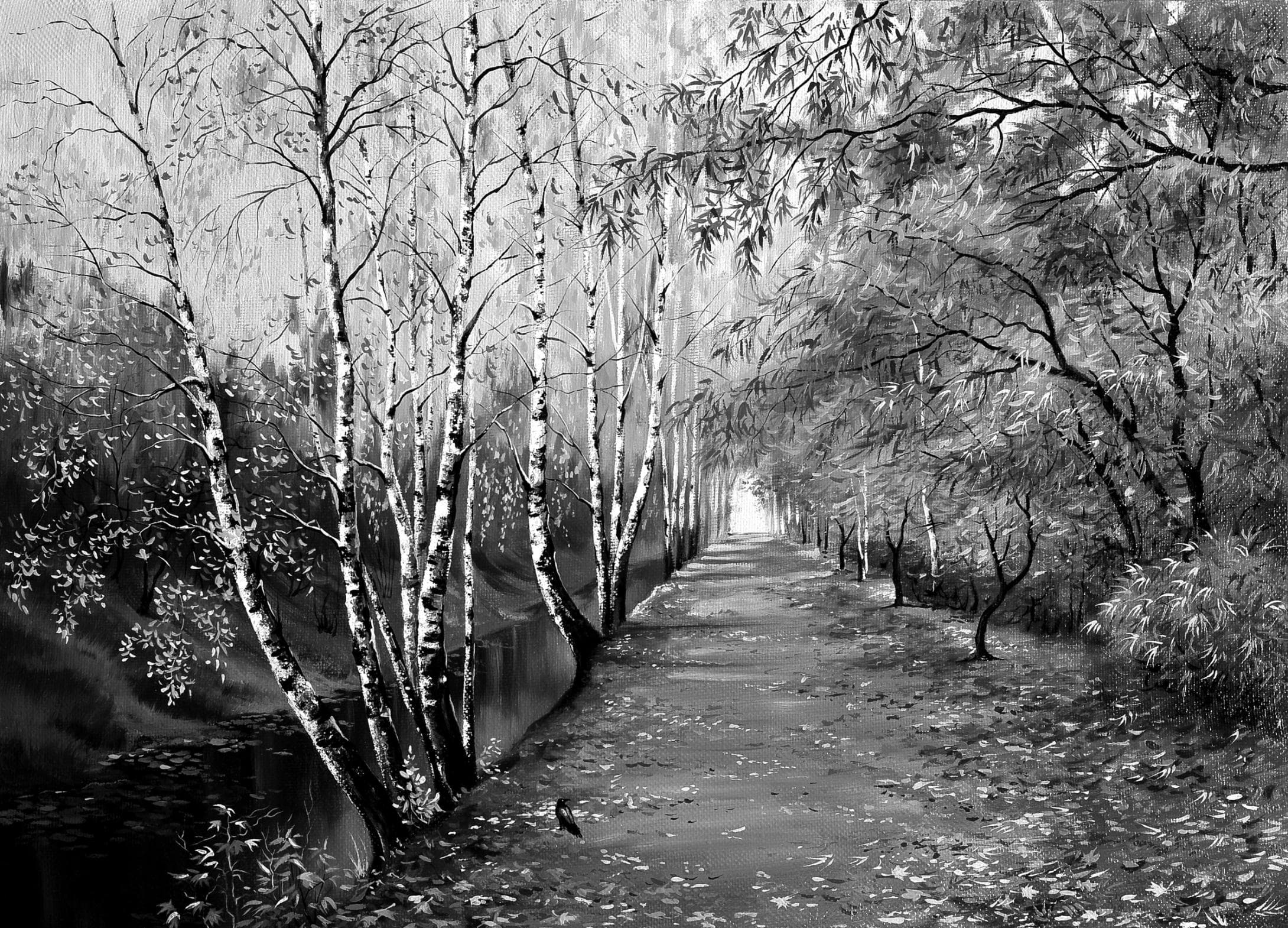 PAPERMOON Fototapete Waldweg Schwarz & Weiß Vlies