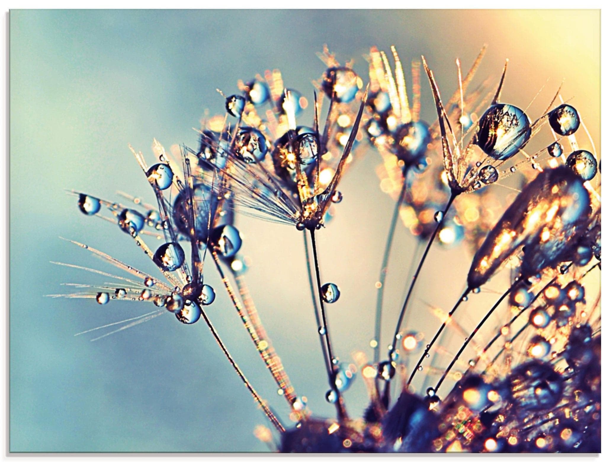 Glasbild ARTLAND 'Pusteblume Glitzertau' blau 80x60cm
