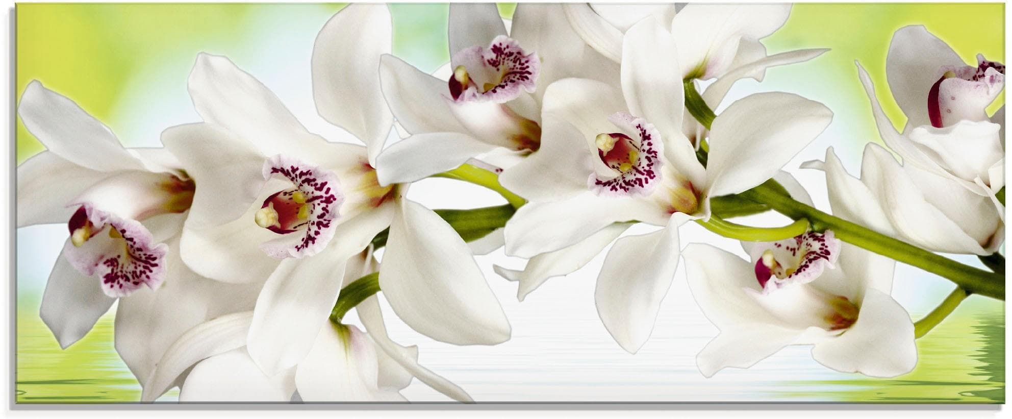 ARTLAND Glasbild Weiße Orchidee Weiß Modern