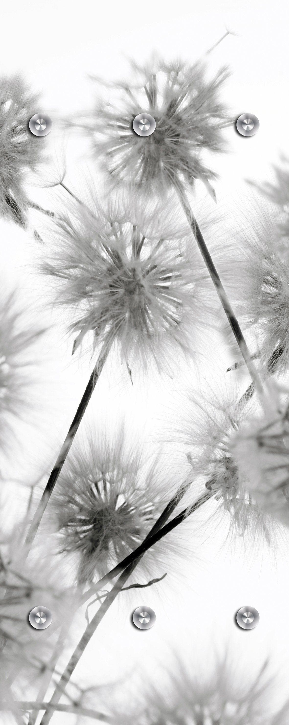 Garderobenleiste QUEENCE Blüte Grau mit 6 Haken