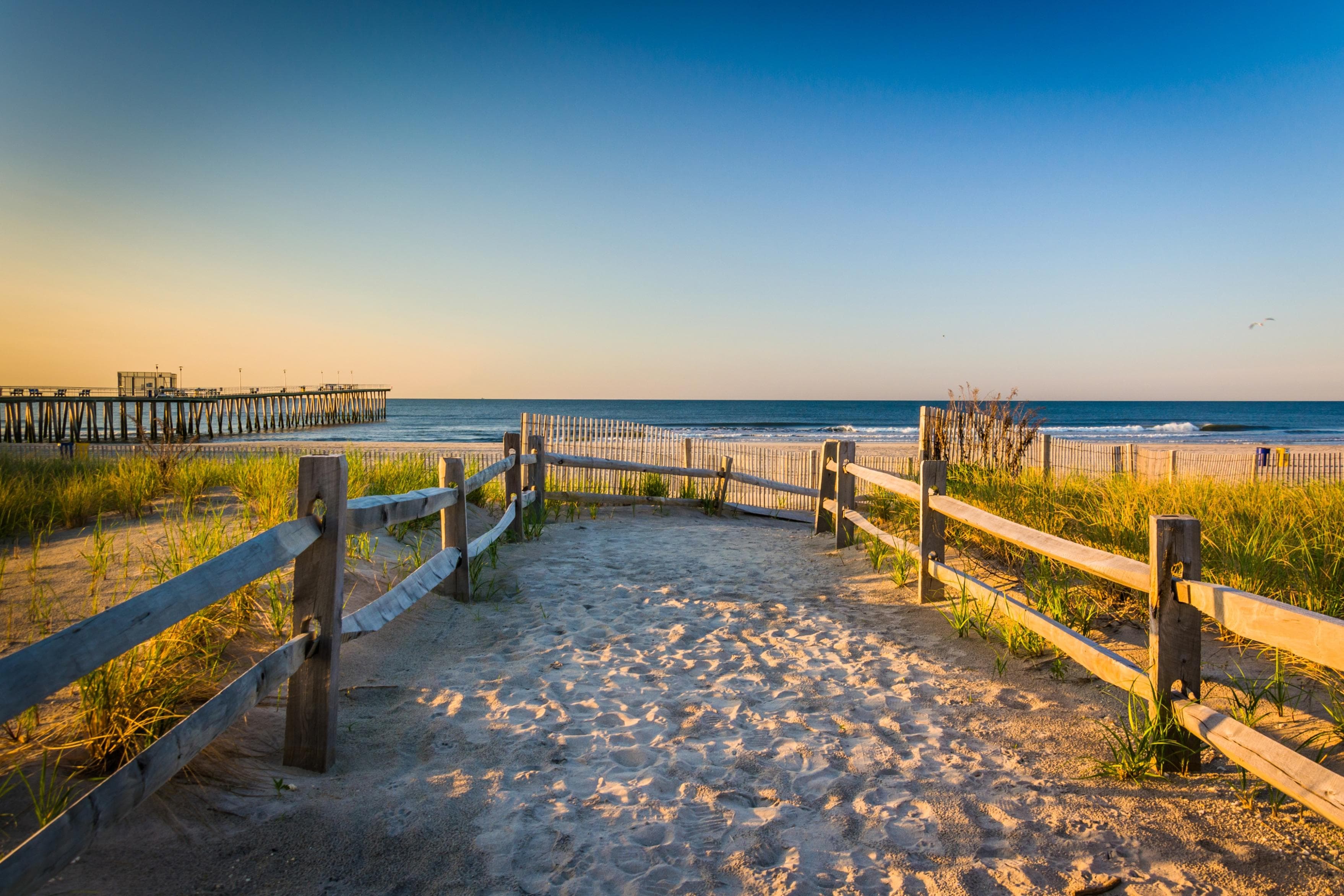 PAPERMOON Fototapete Dunes Atlantic Ocean Vlies Bunt
