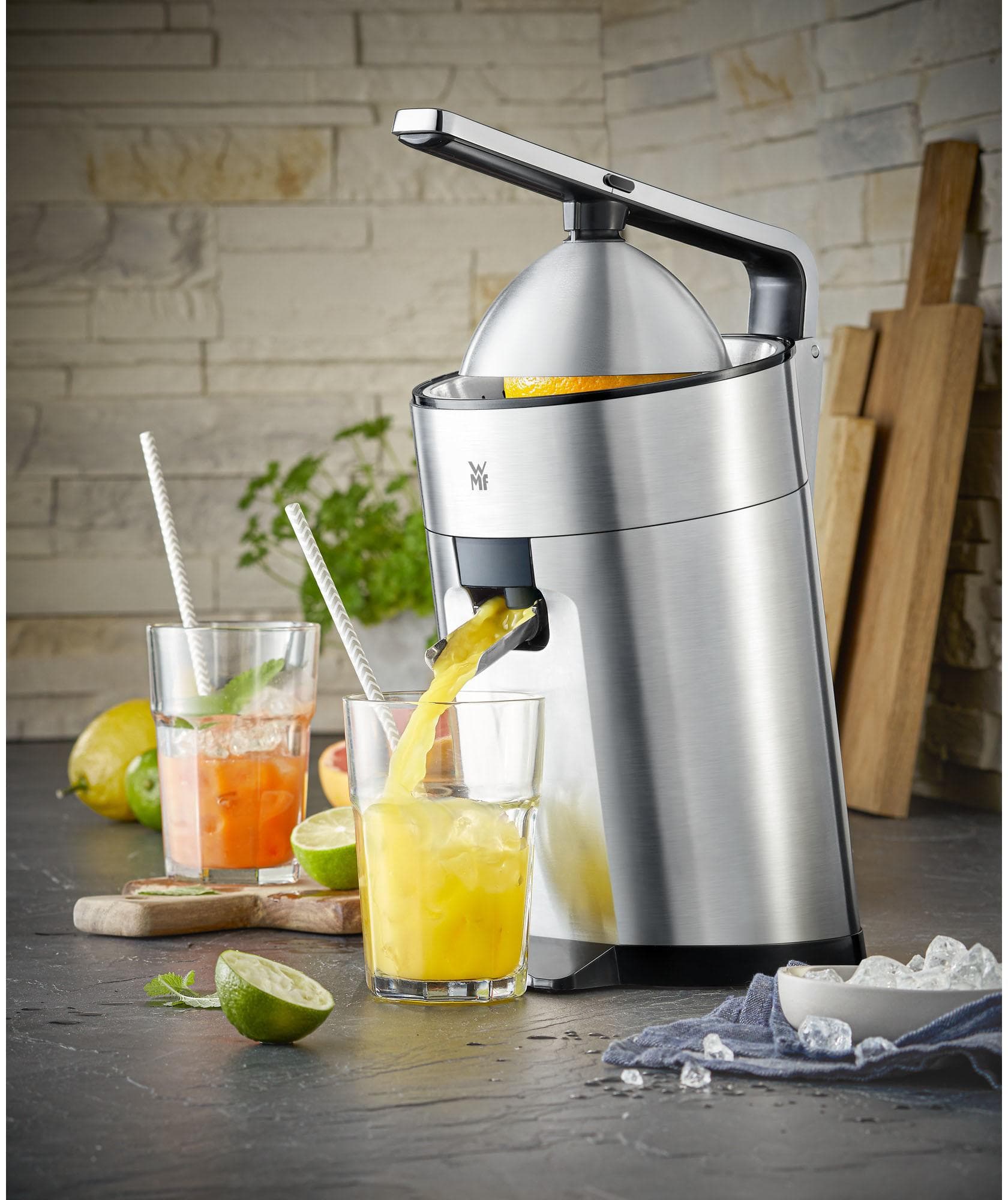 WMF Profi Plus Zitruspresse Silber Edelstahl