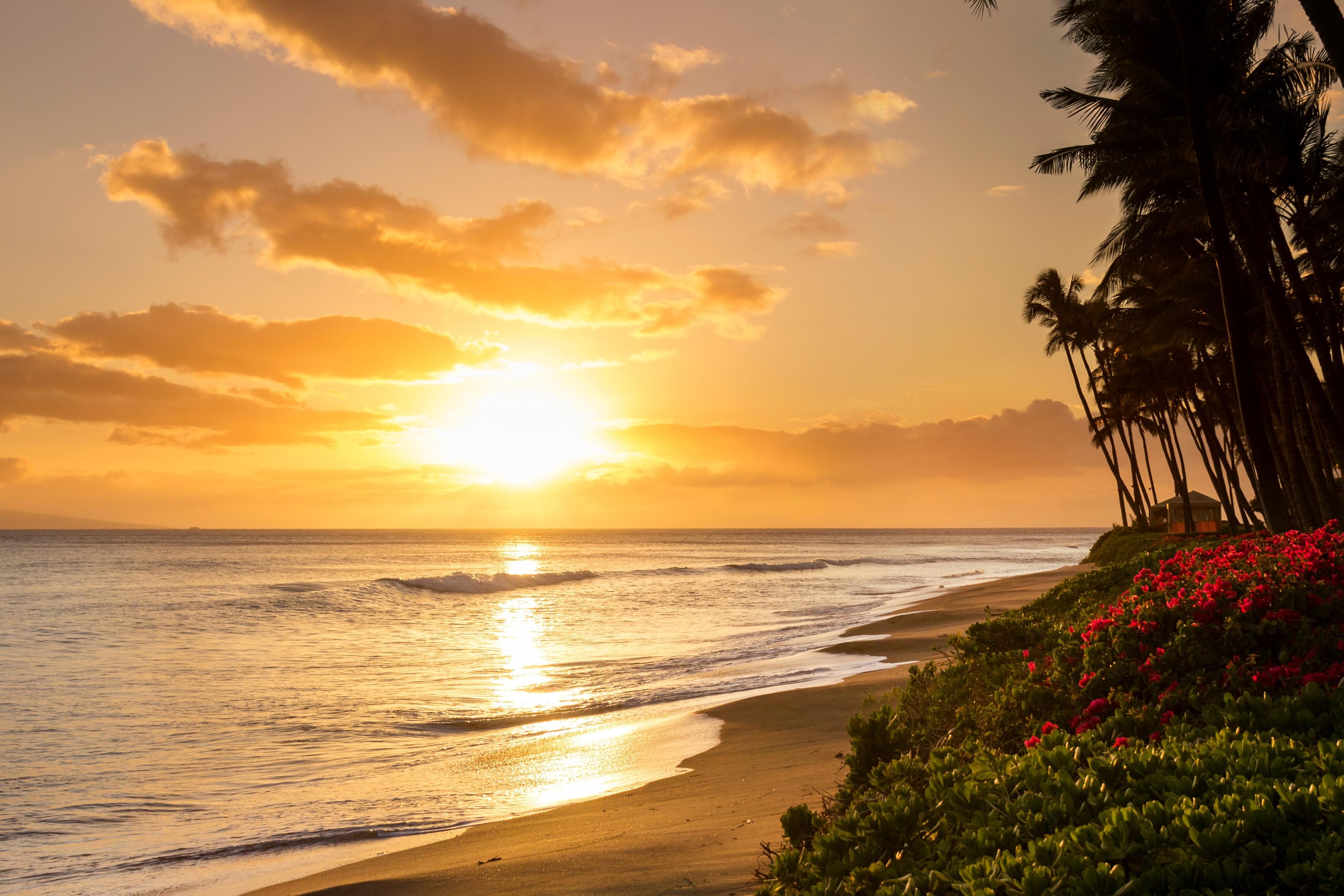 PAPERMOON Fototapete Tropical Sunset Kaanapali Beach Vlies Bunt