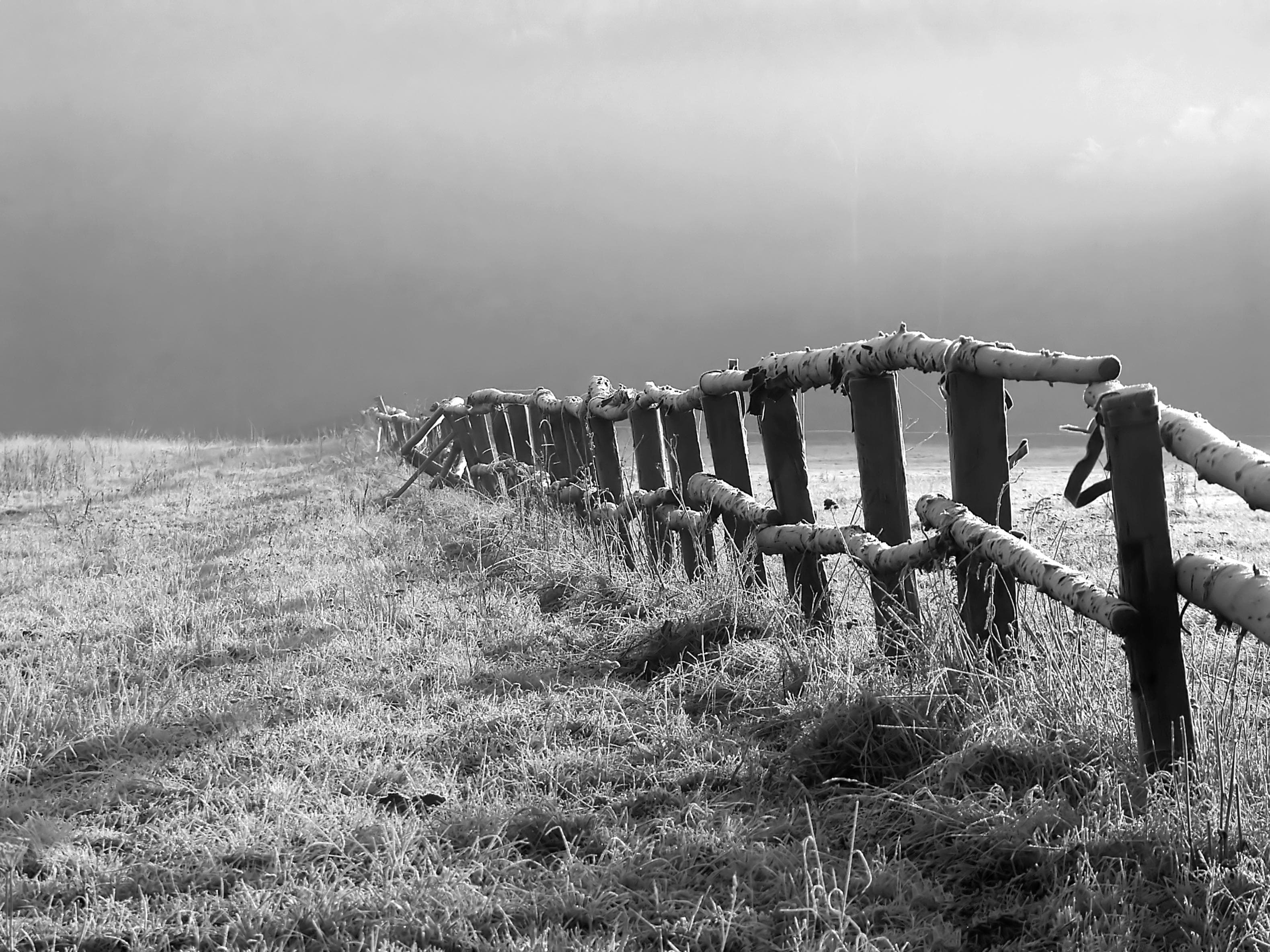 PAPERMOON Fototapete "Feld Schwarz & Weiß" Vlies