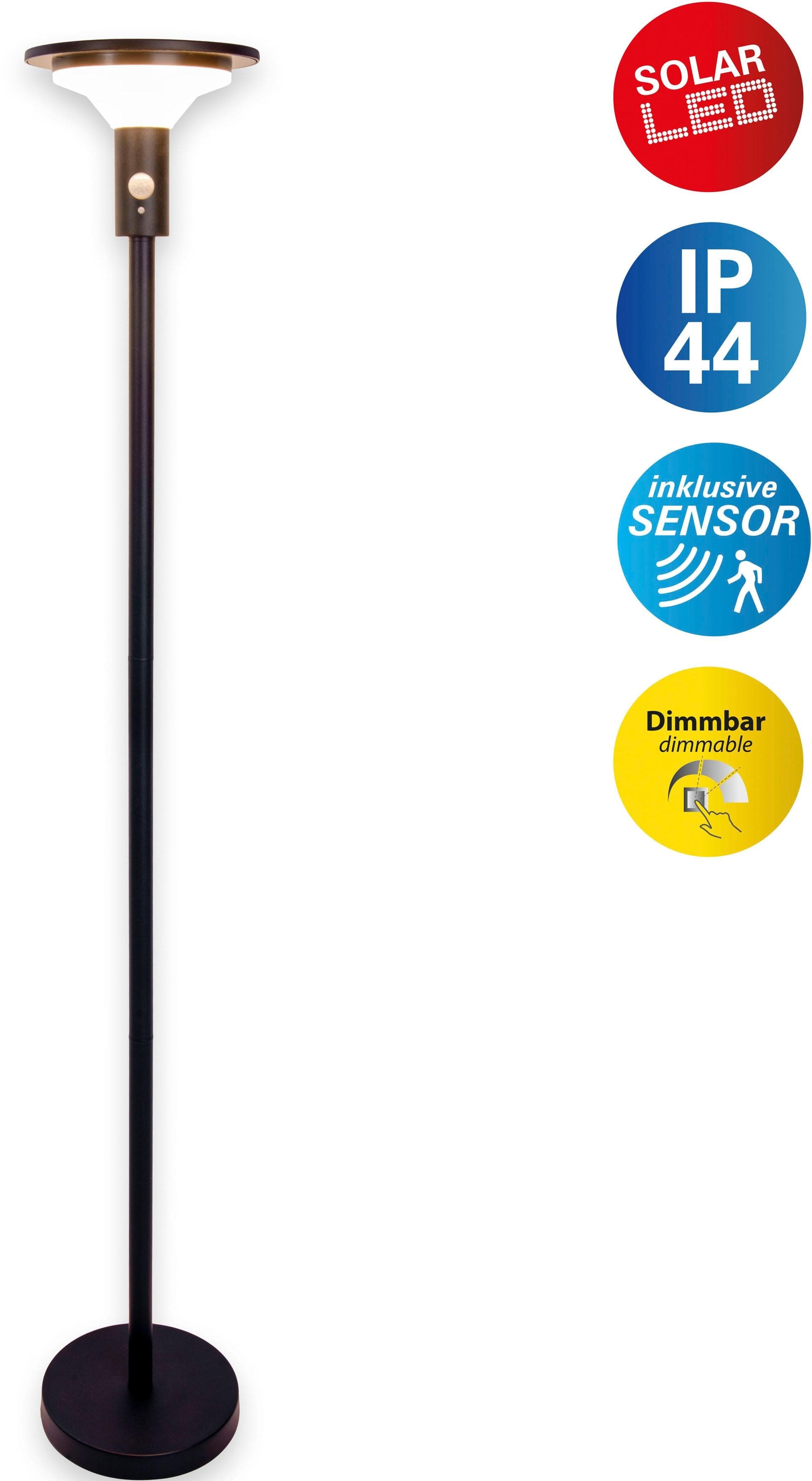 LED Solarleuchte Näve Nora Schwarz Bewegungsmelder Dimmbar 139cm